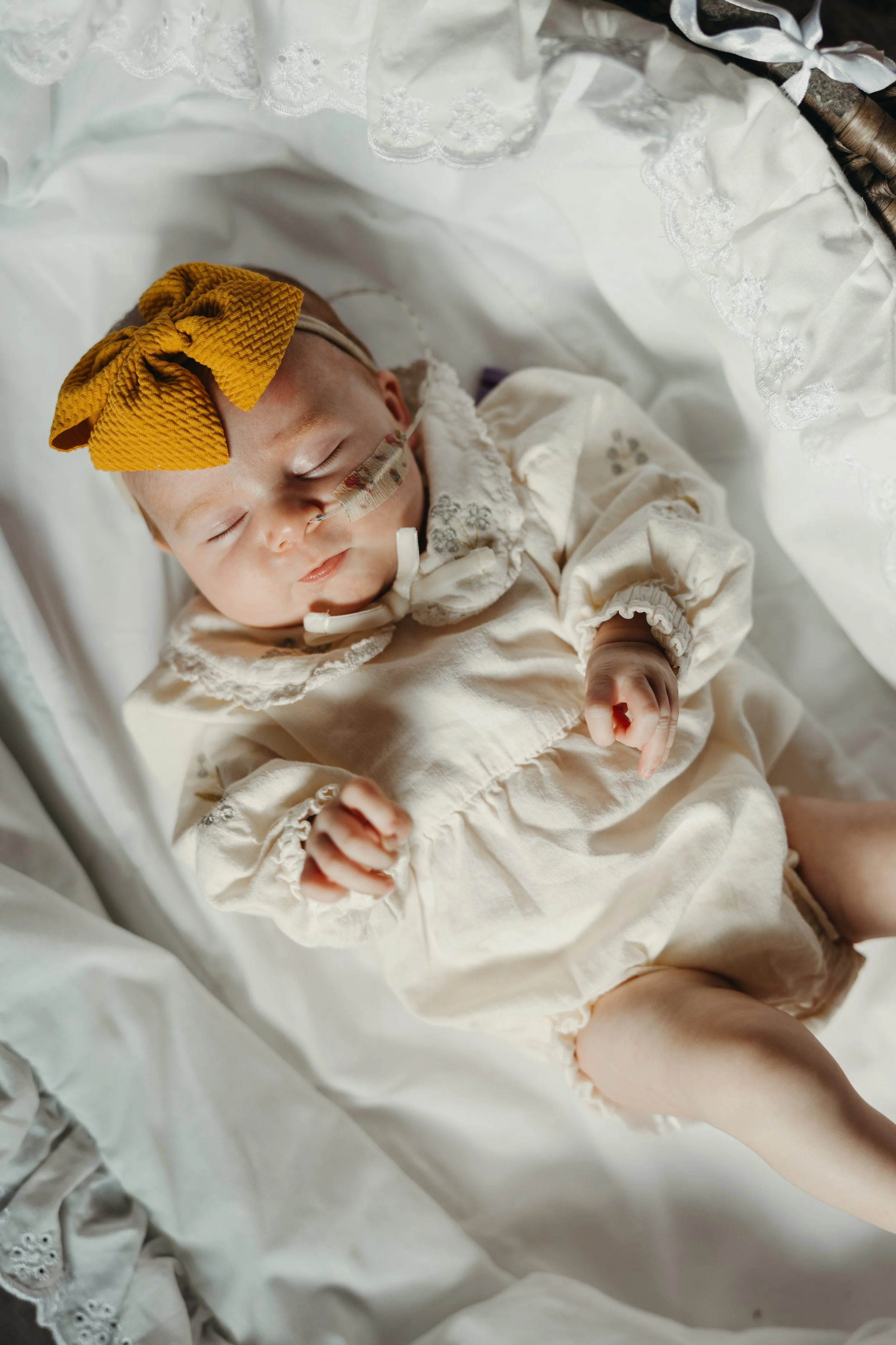 heardnewborn-39.jpg