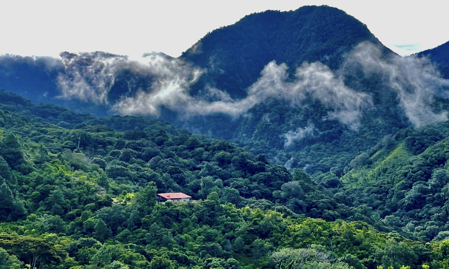 Mindful Birding Retreat: Panama