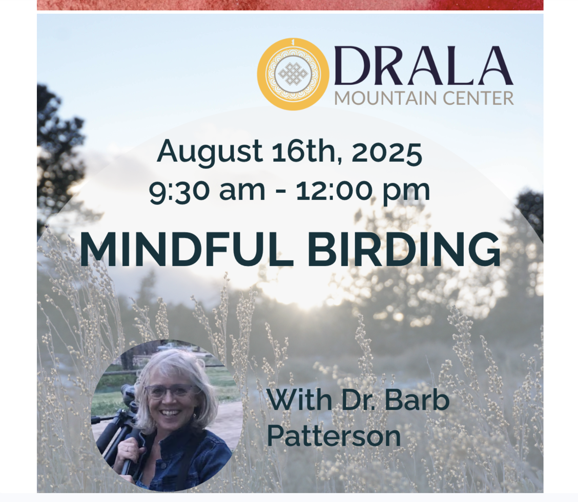 Mindful Birding
