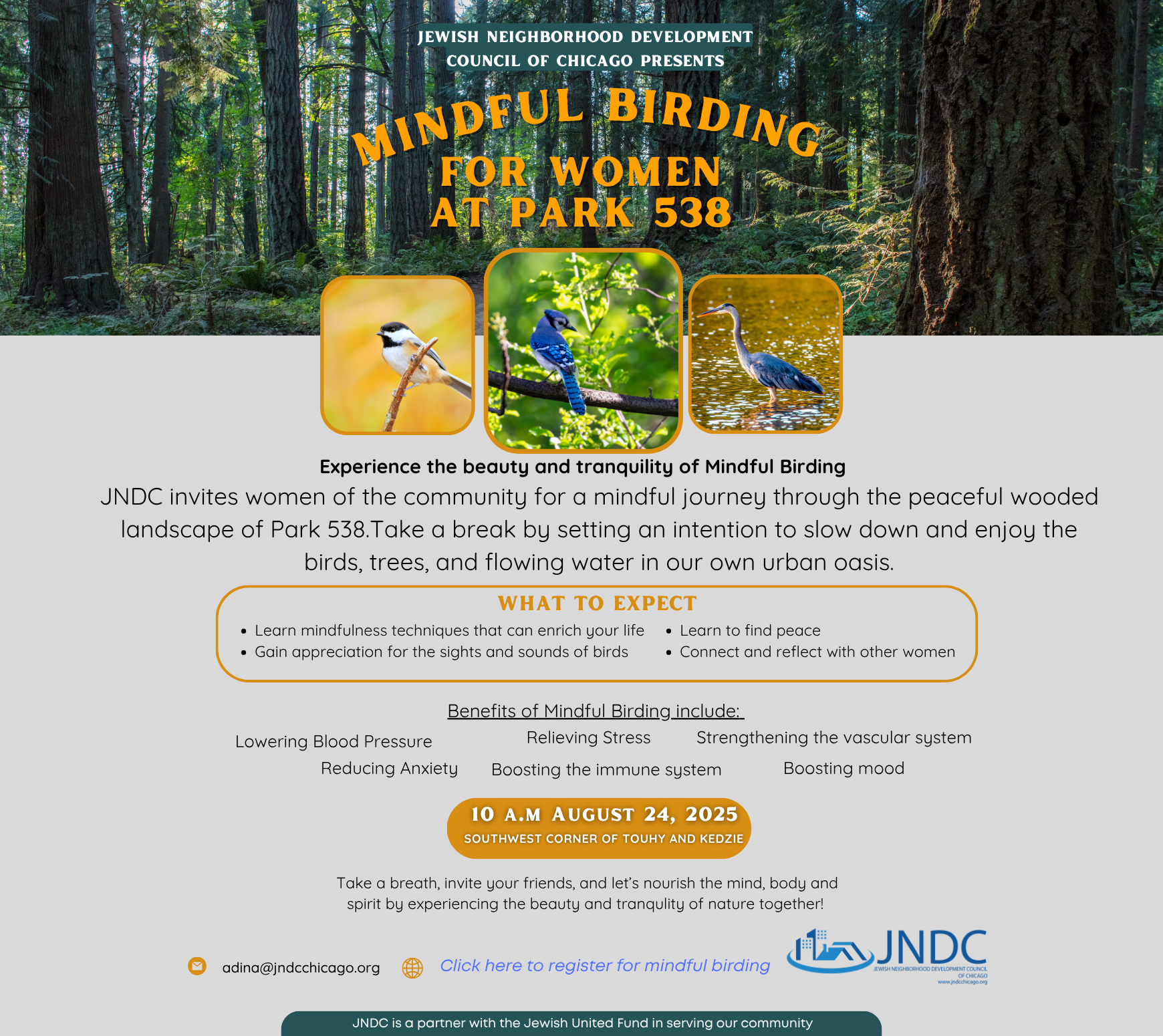 Mindful Birding for Women at Park 538