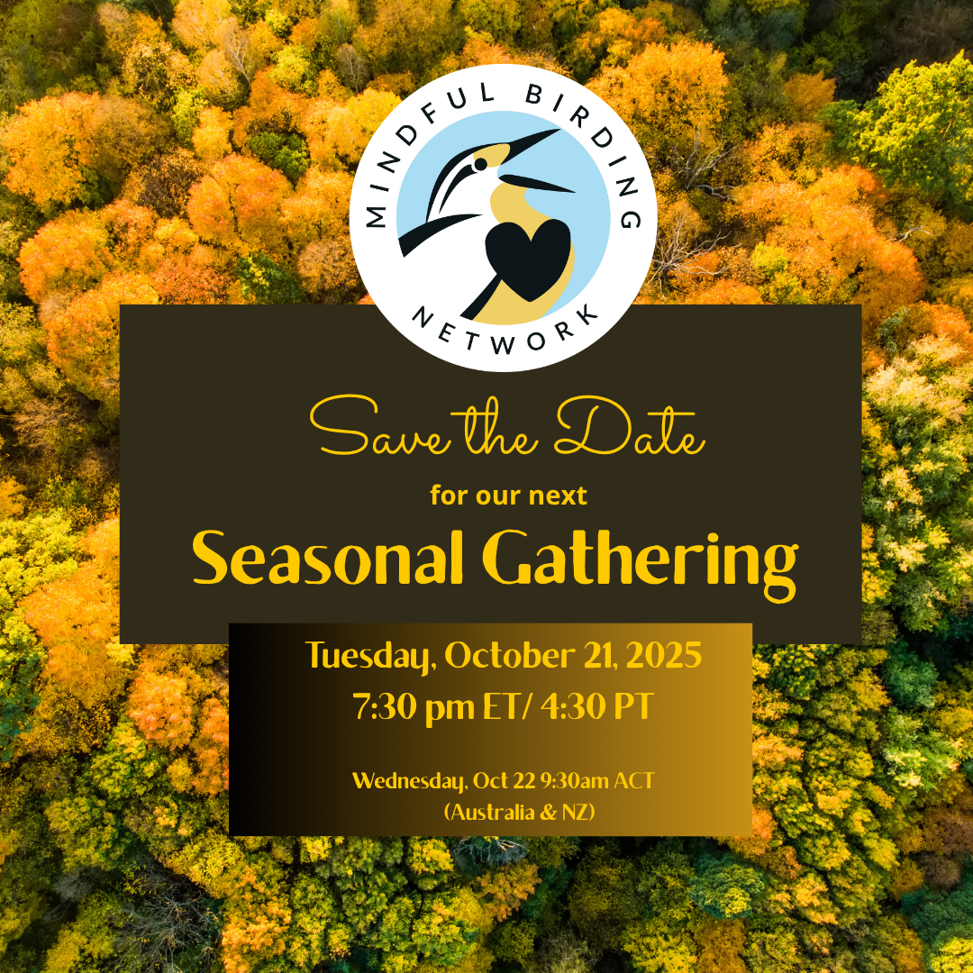 Mindful Birding Network Seasonal Gathering