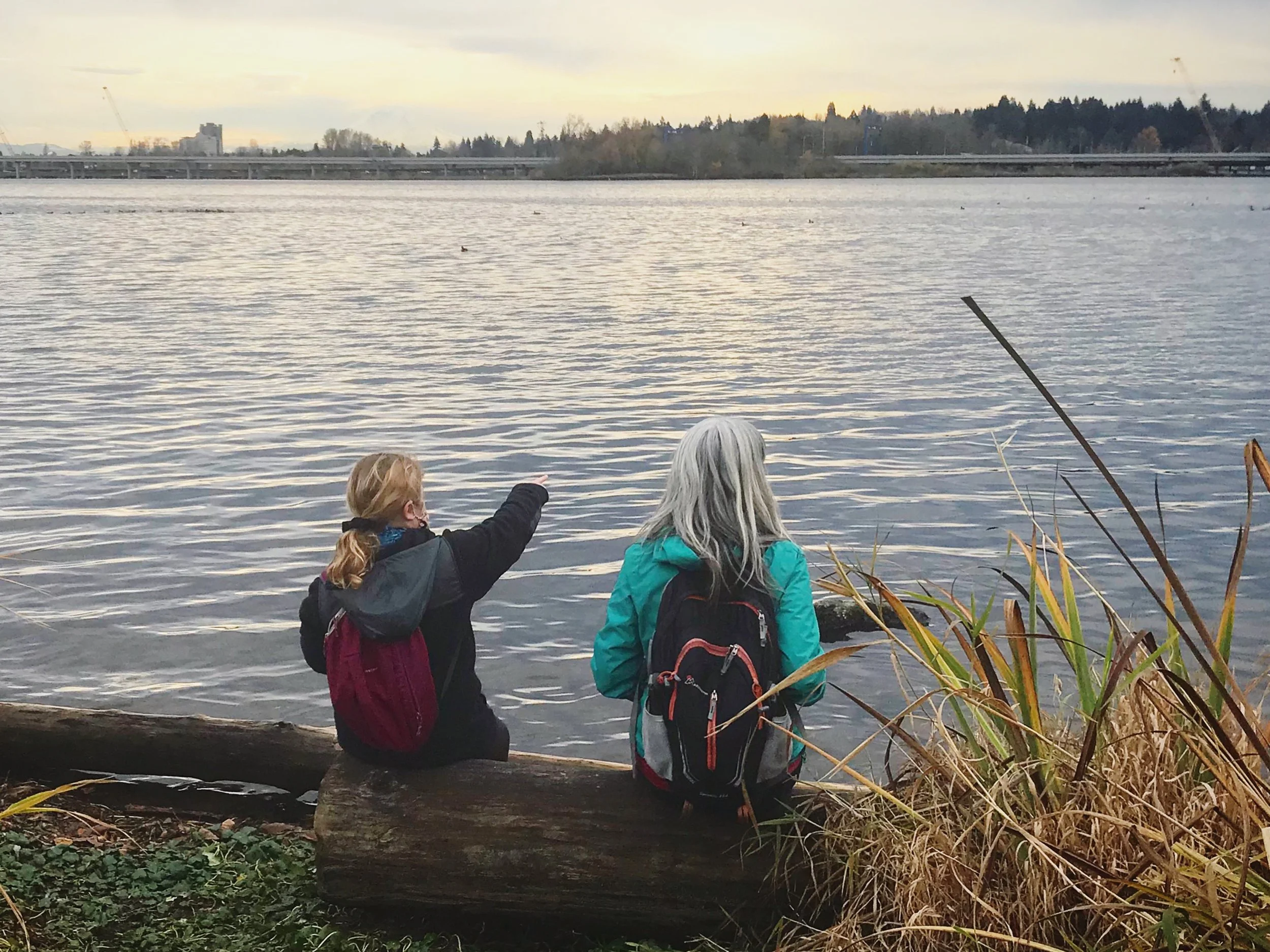 Mindful Birding at Union Bay Natural Area 