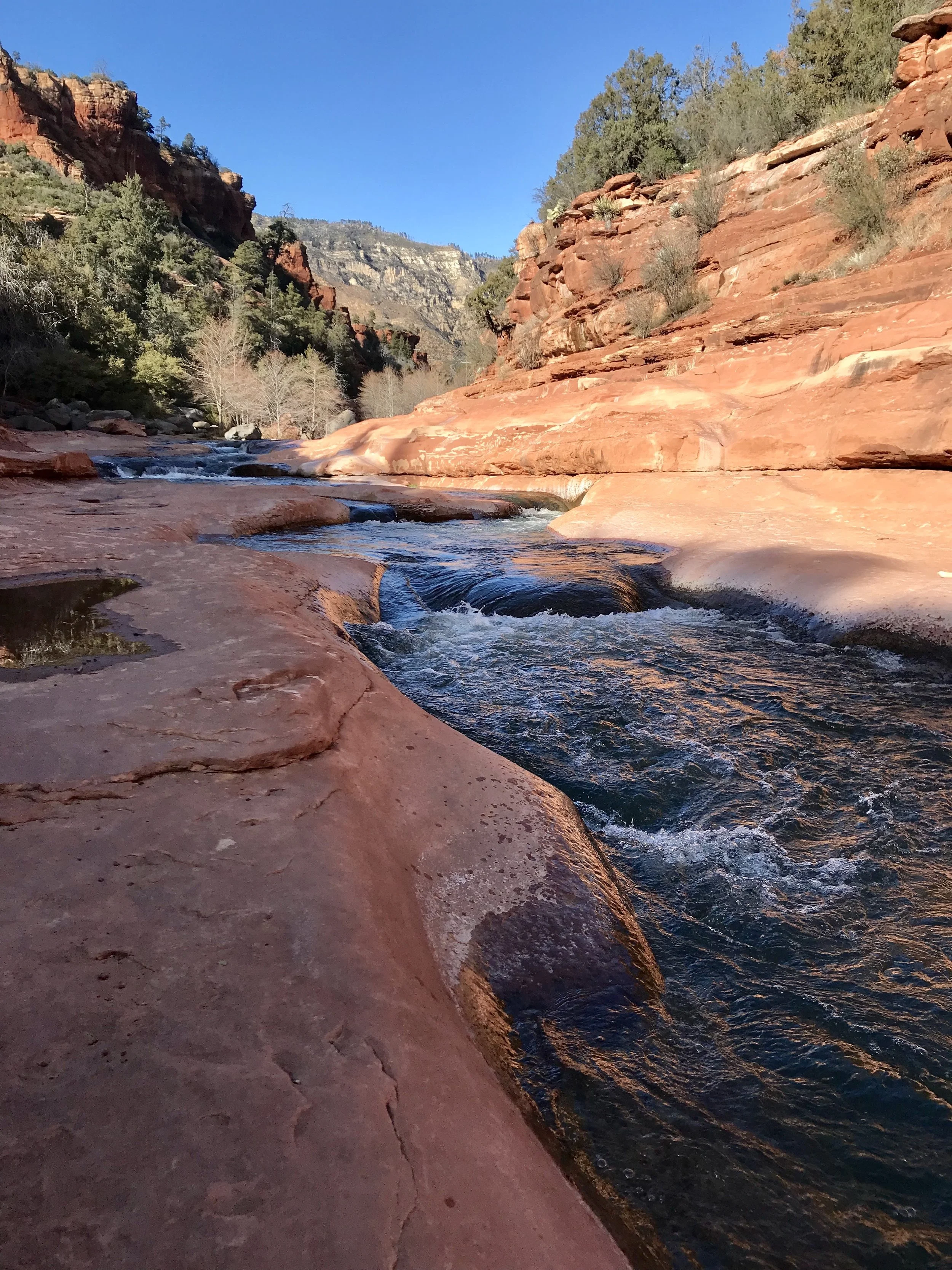 Arizona Mindful Birding Retreat: Sedona