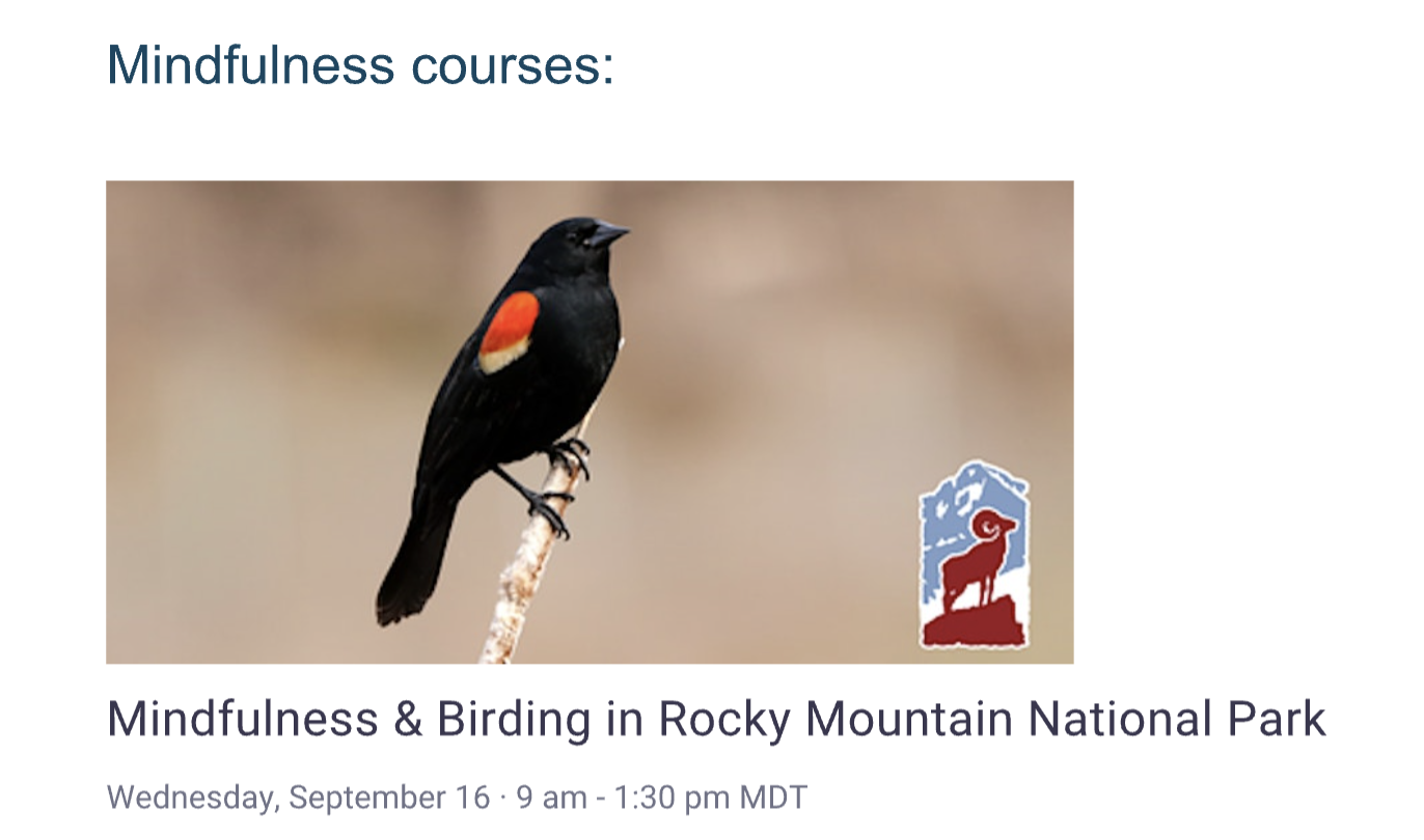 Mindfulness and Birding in Rocky Mountain National Park