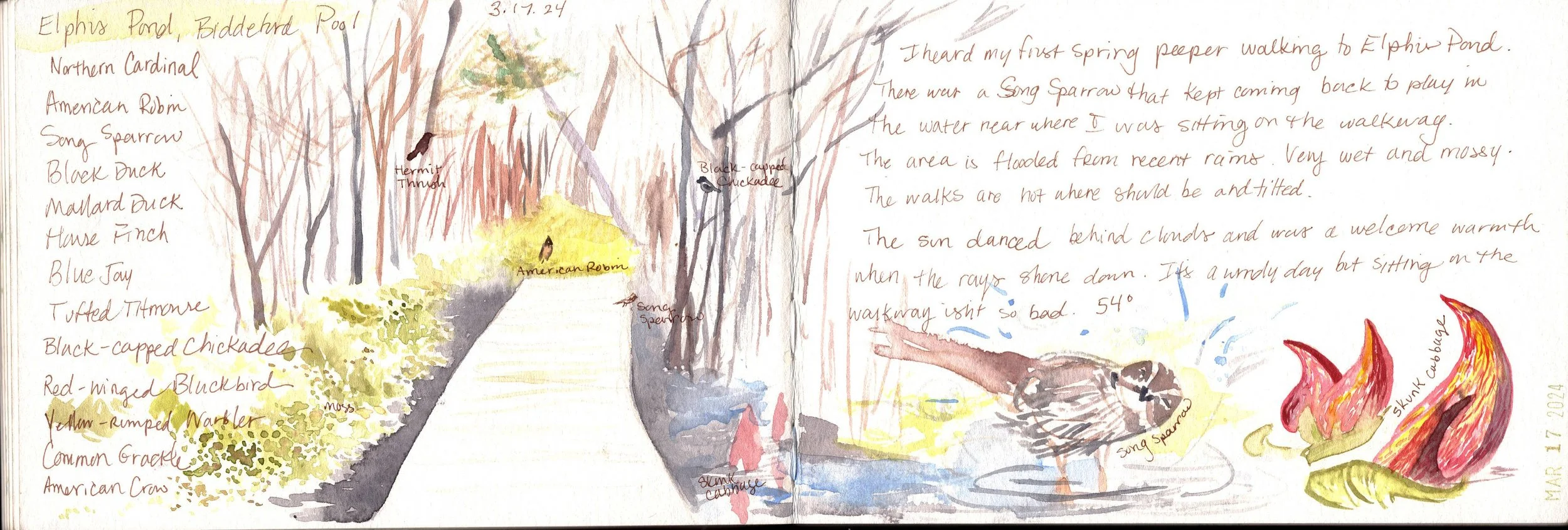 Elphis Pond Journal Spread @Rebekah Lowell