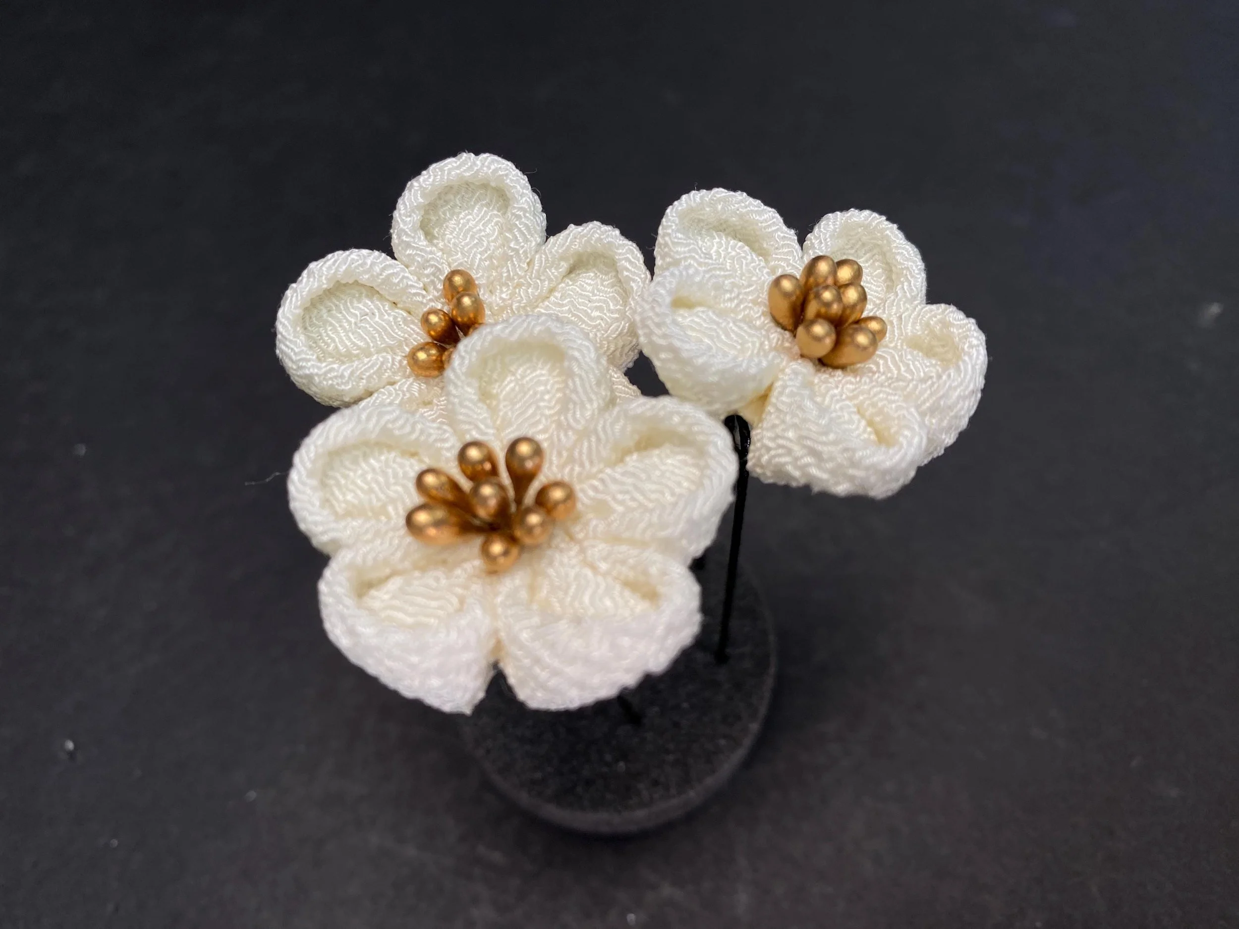 https://i.etsystatic.com/35198069/r/il/0e3e87/6248598588/il_fullxfull.6248598588_a5m2.jpg