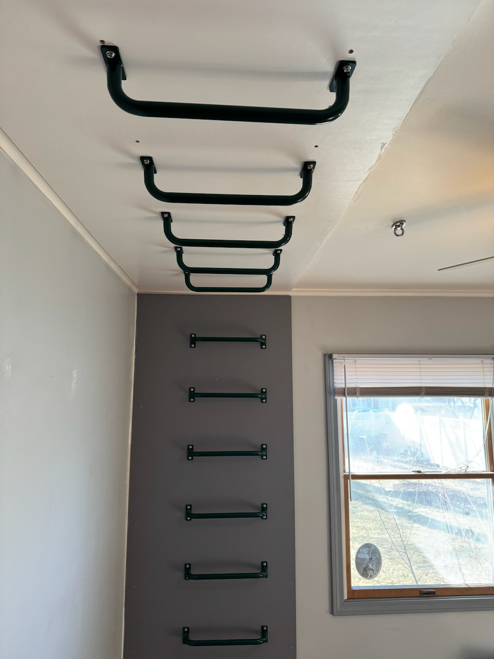 Black ceiling-mounted monkey bars leading to a wall ladder.