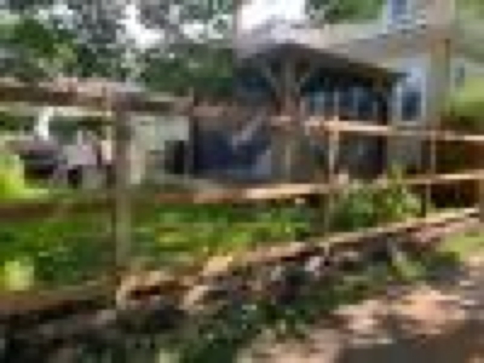 01-wood-backyard-fence-along-a-planted-border.jpg