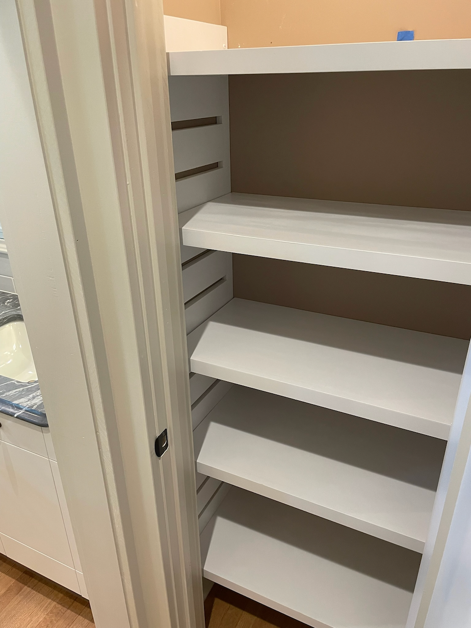 Detail of the adjustable shoe shelves and closet storage.