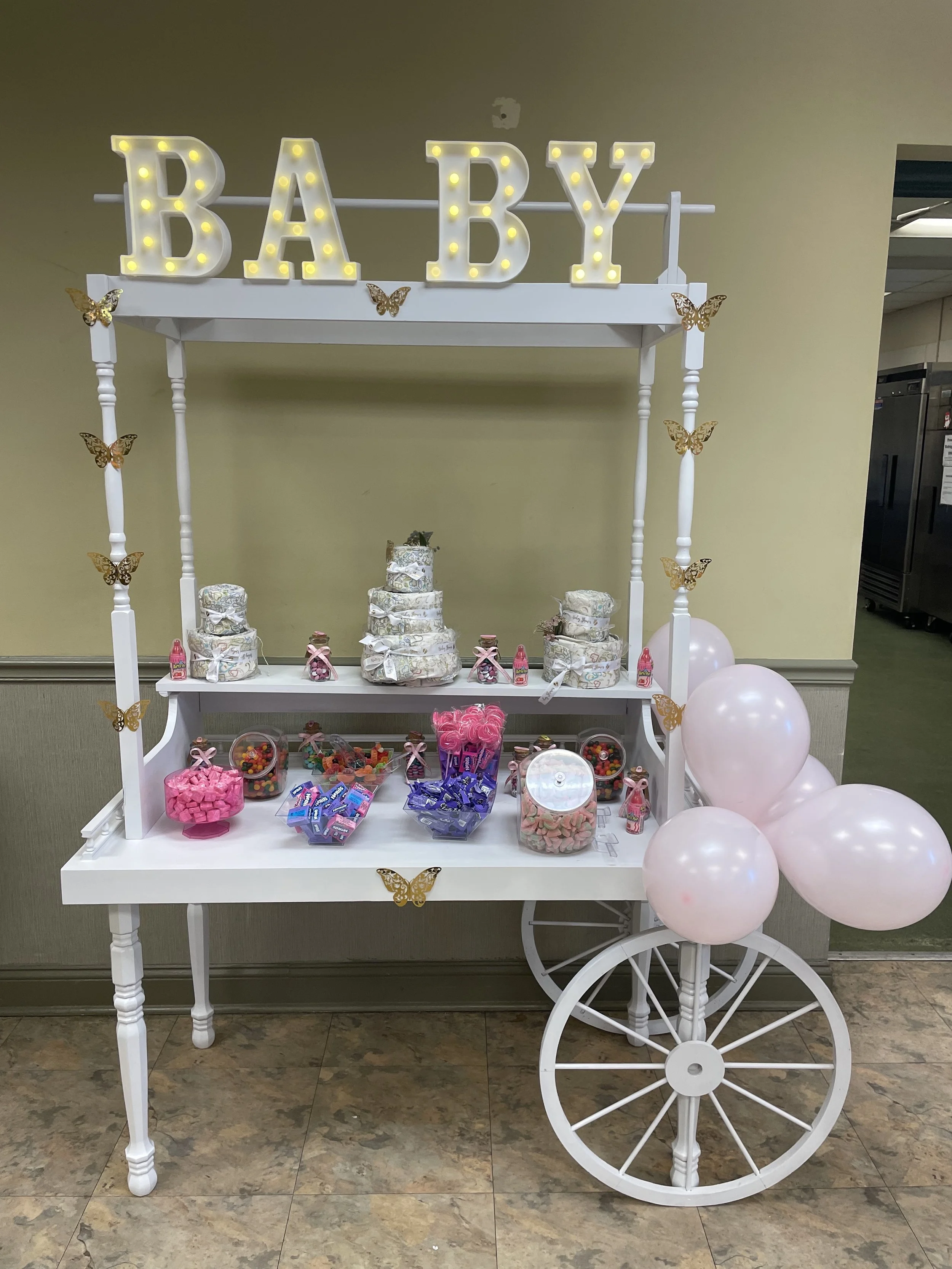 The Oak Park Handy Human, Inc.