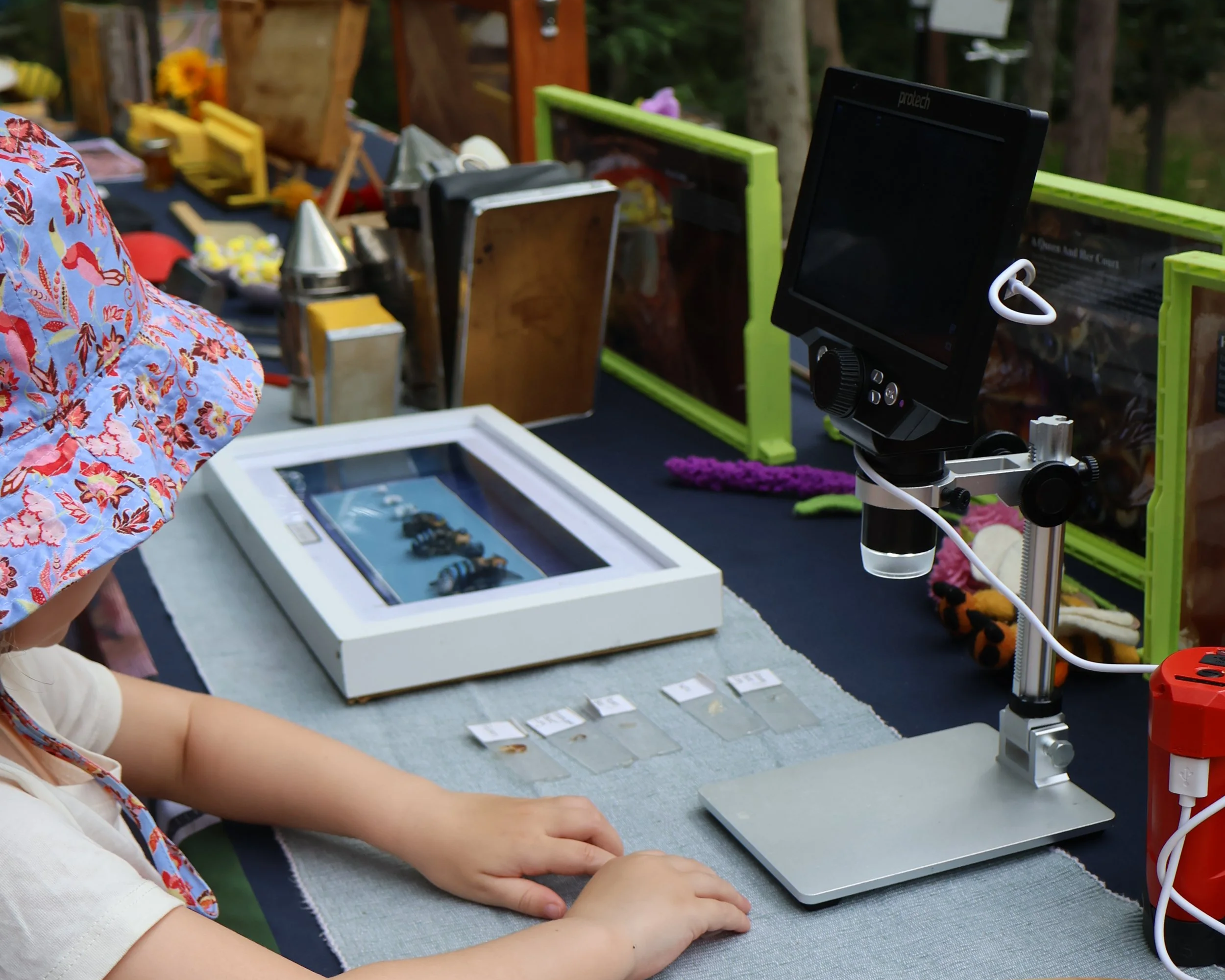 STEM, Science, Technology, Engineering, Mathematics 