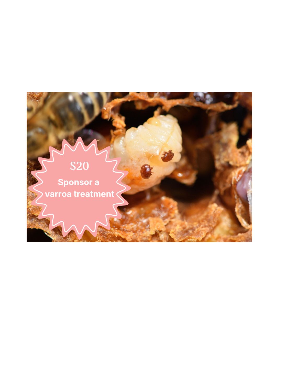 Sponsor a hive treatment
