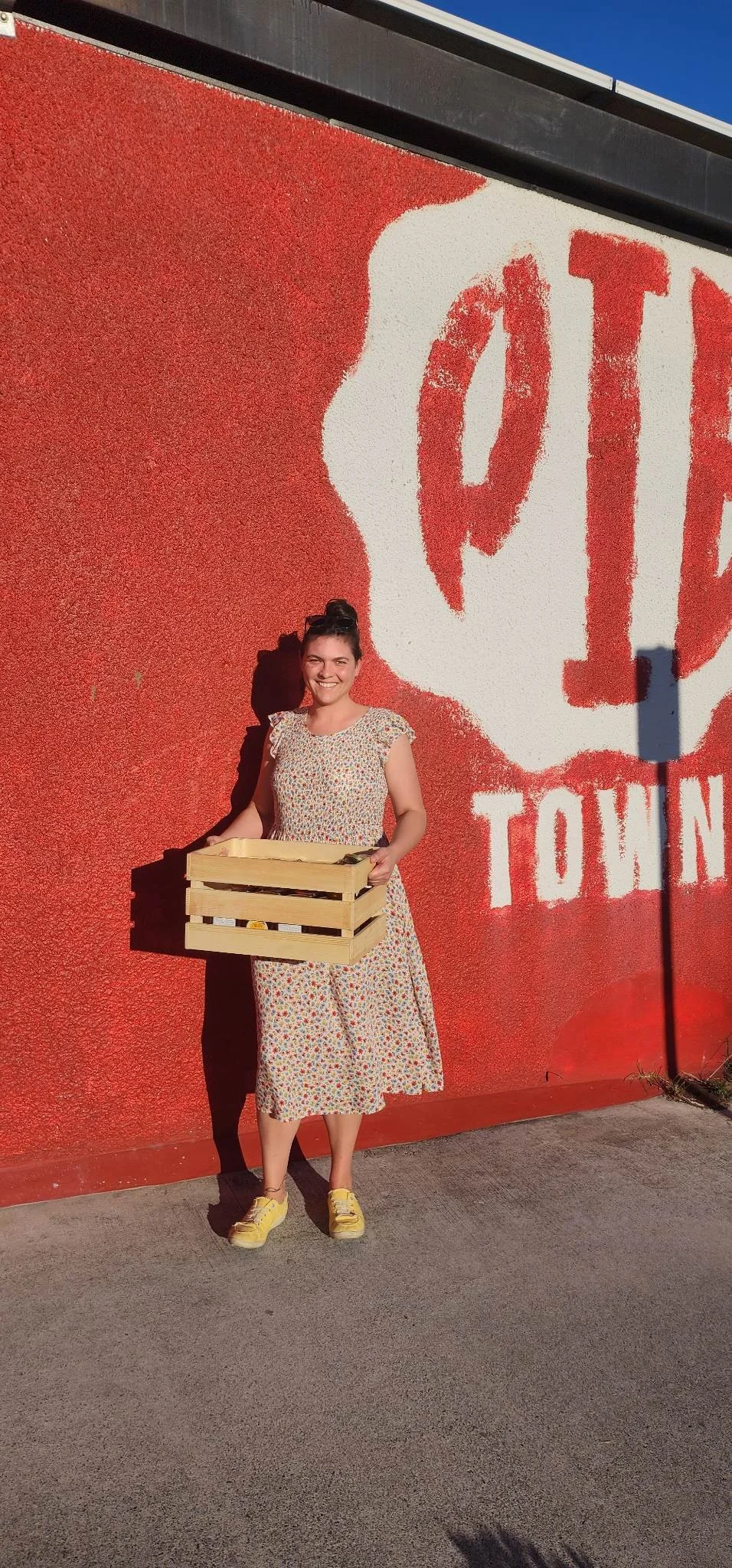 corporate hives, rooftop bees, bees on roof, rooftop beehive, rooftop corporate honey, city pollution, urban bee, urban bee education, urban honey, community, school open days, honey days, community connection, EYLF, bee education