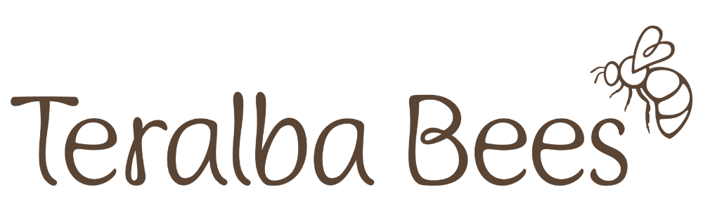 Illustration of a bee next to the text "Teralba Bees" in a playful font.