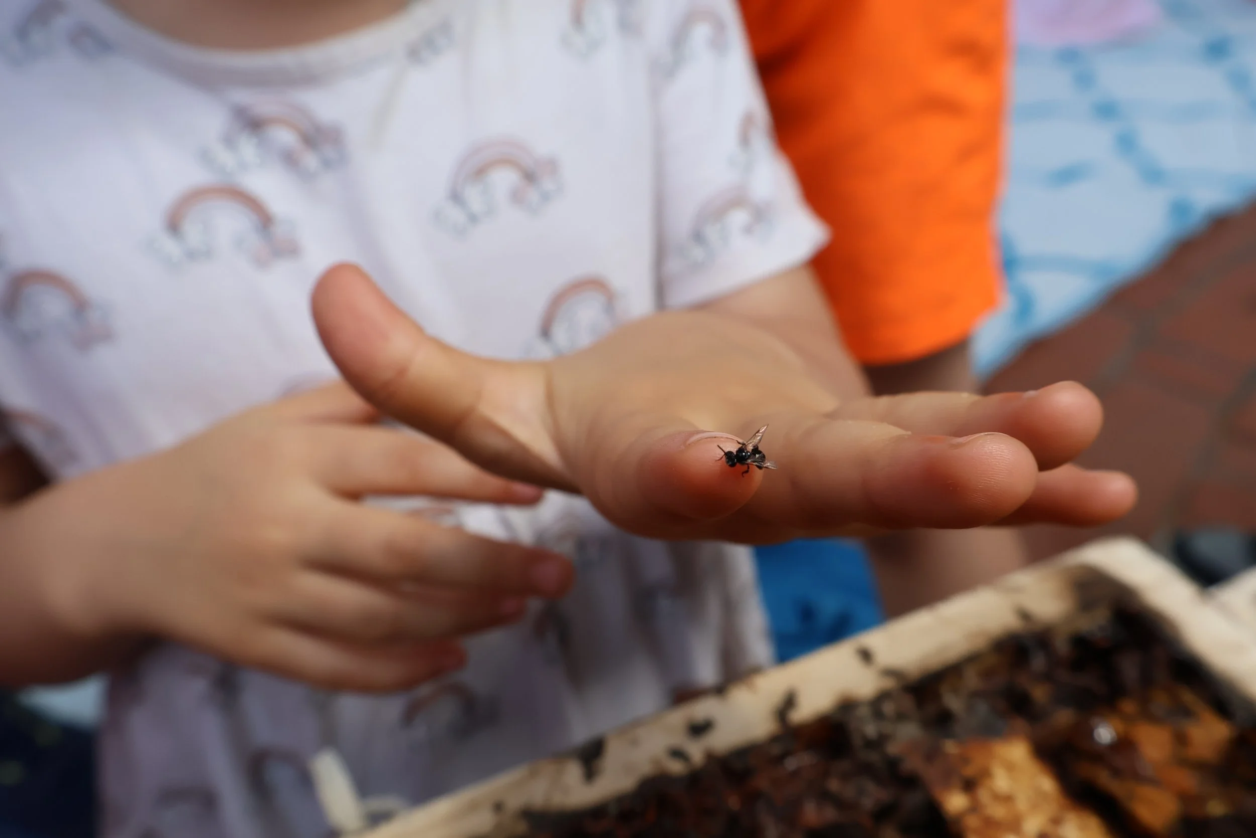 A small painted birdhouse on metal stand next to a tree, surrounded by green plants. The birdhouse has a floral design and a sloped wooden roof. To the right, there are three stacked planters made from recycled tires filled with colorful rocks.