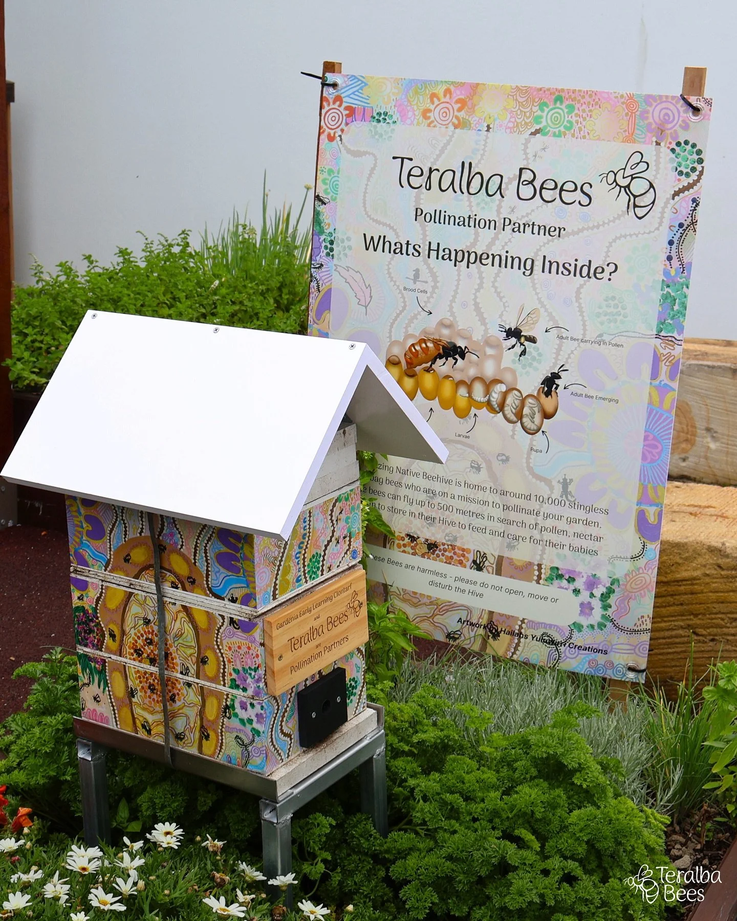 Native bees, bees in schools, bee hive, sugarbag bees, stingless bees, hire a hive