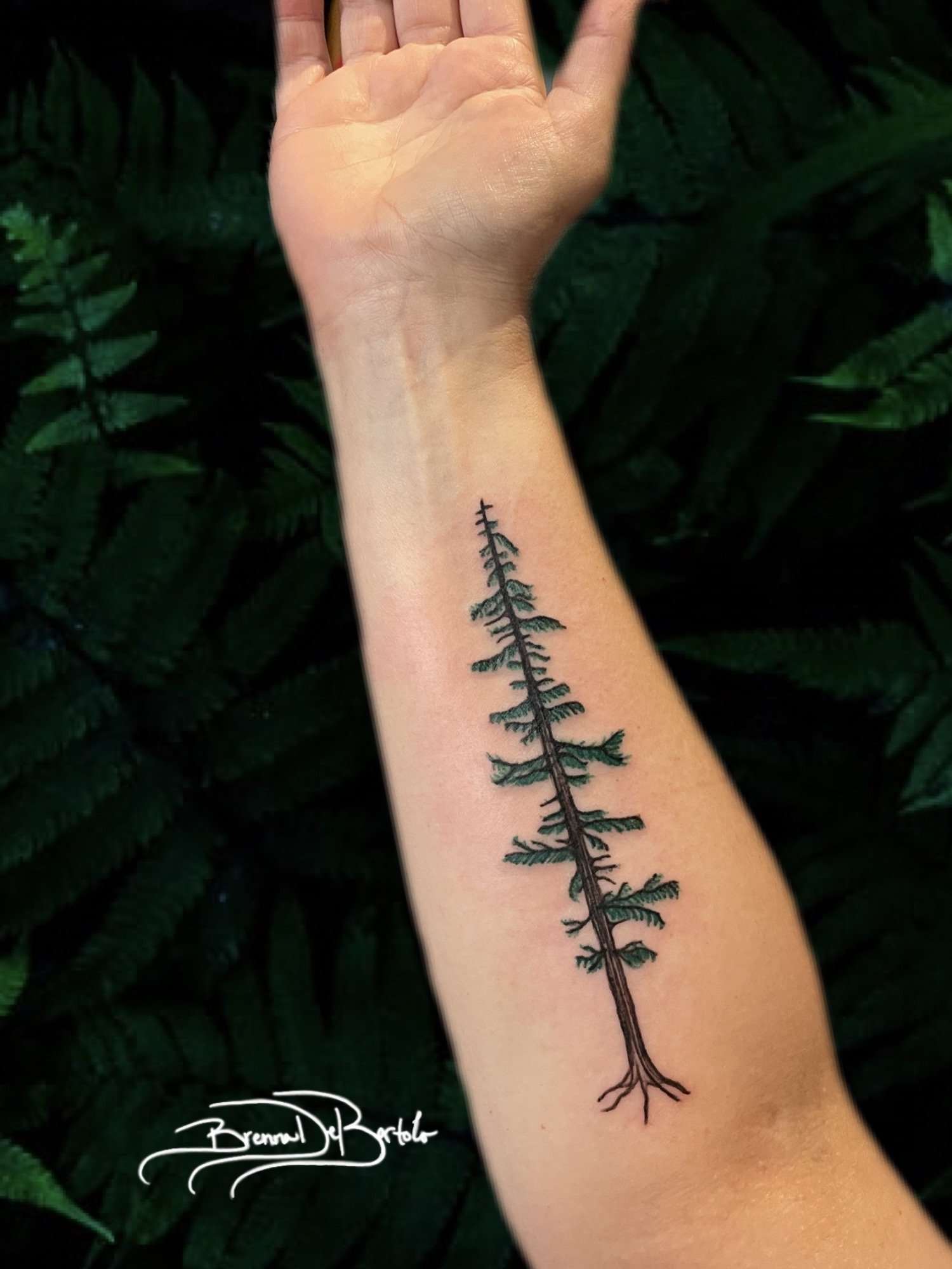 Arm Graphic Forest tattoo at theYoucom
