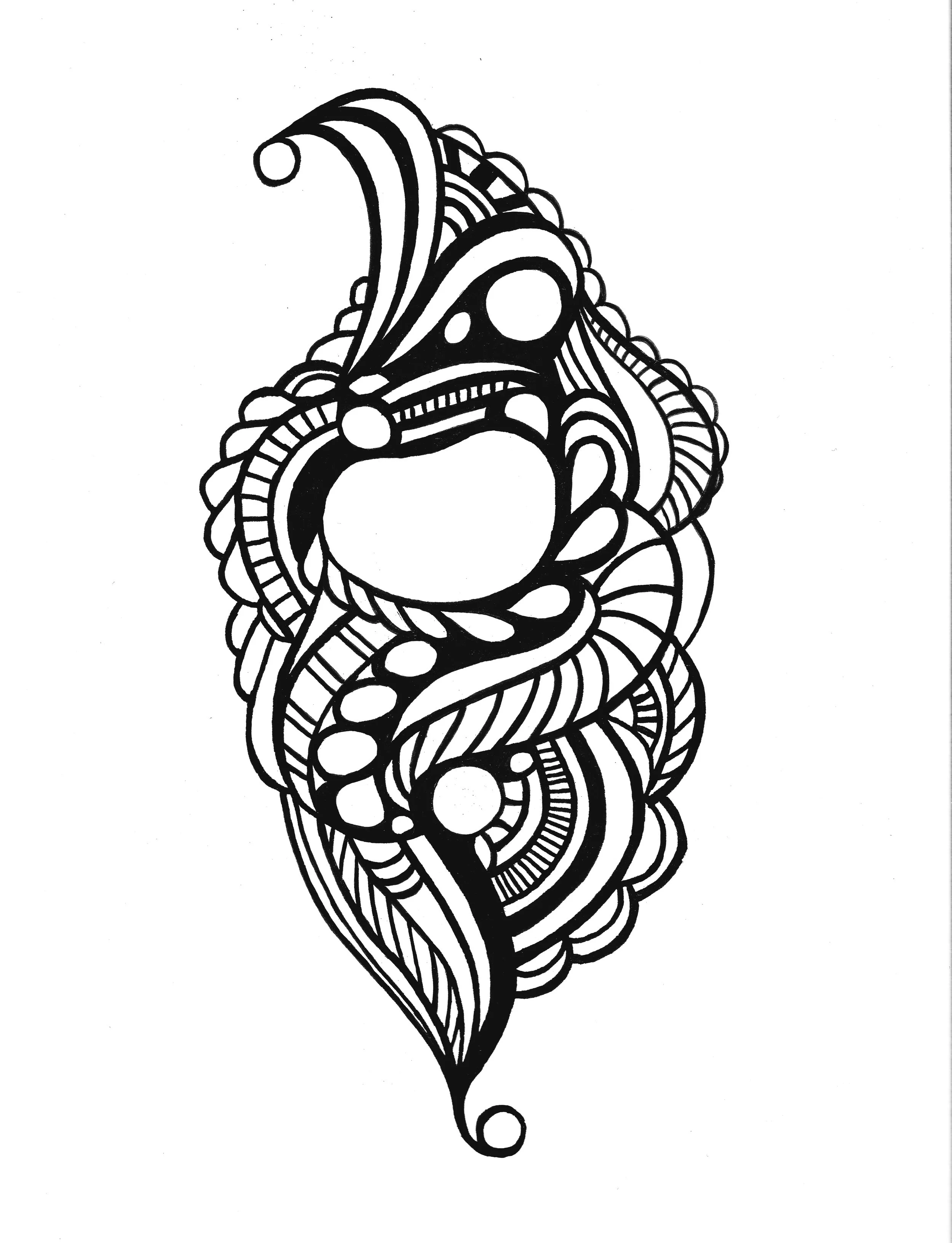 Abalone.jpg