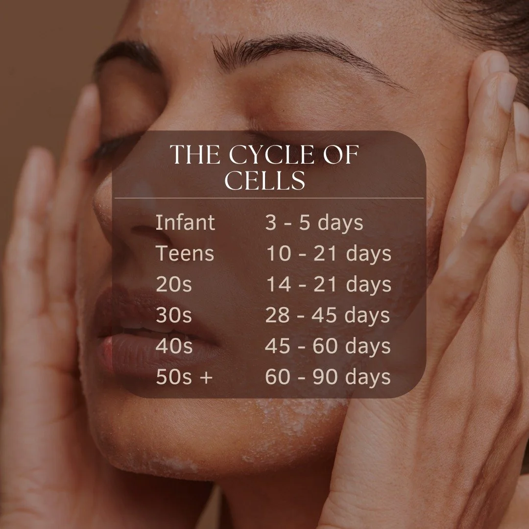 Yes — as we age, cell production naturally slows down.
Here’s a simple explanation ~
🧬 What happens:
Our skin, muscle, and other tissues constantly renew themselves through cell turnover — old cells die and are replaced by new o