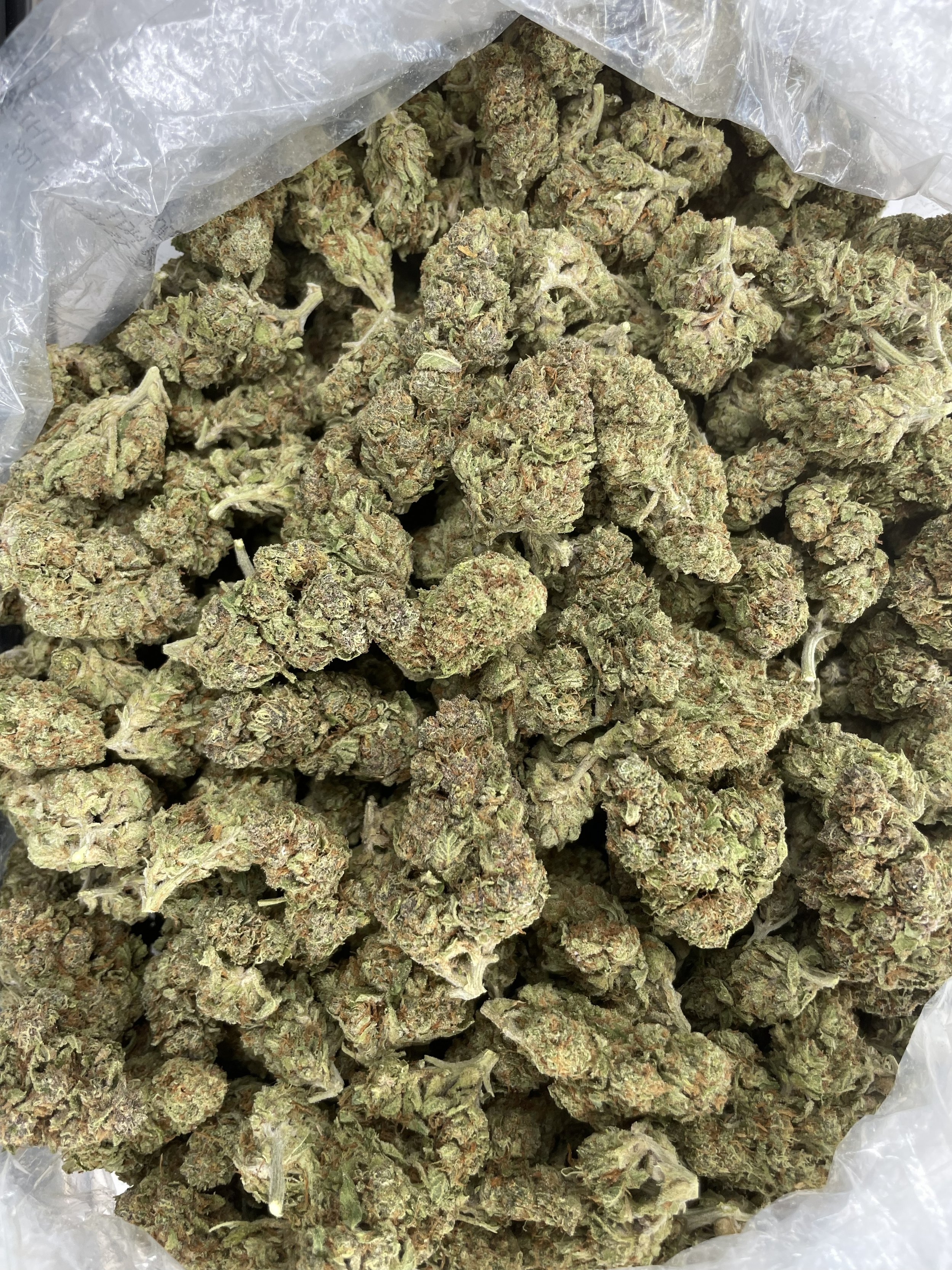 Candy og 650-1.jpg