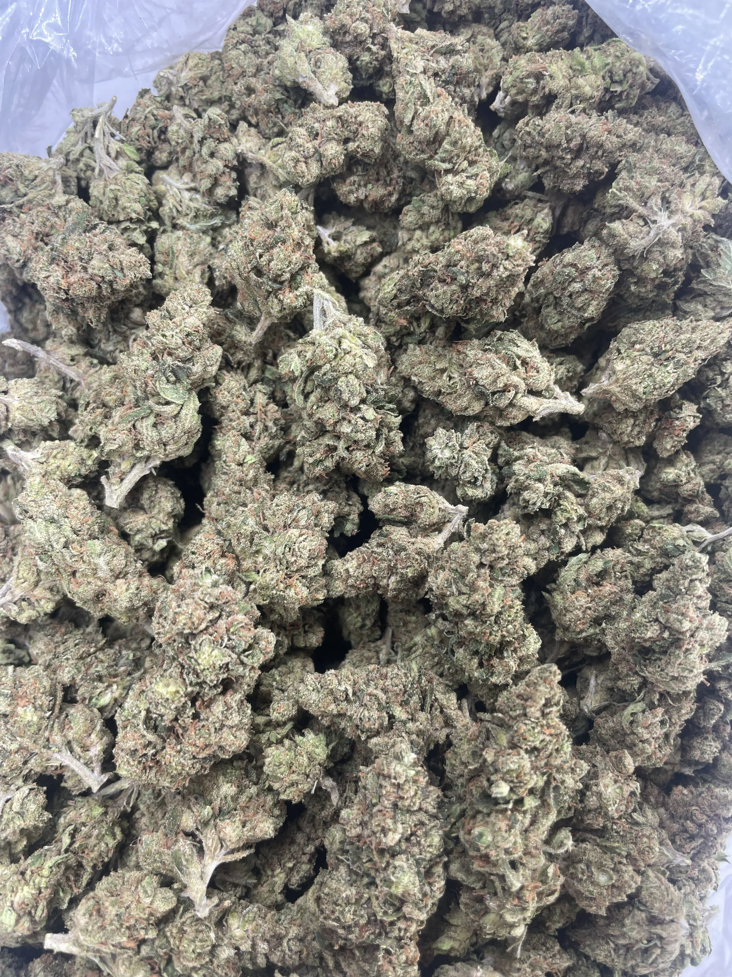 OG