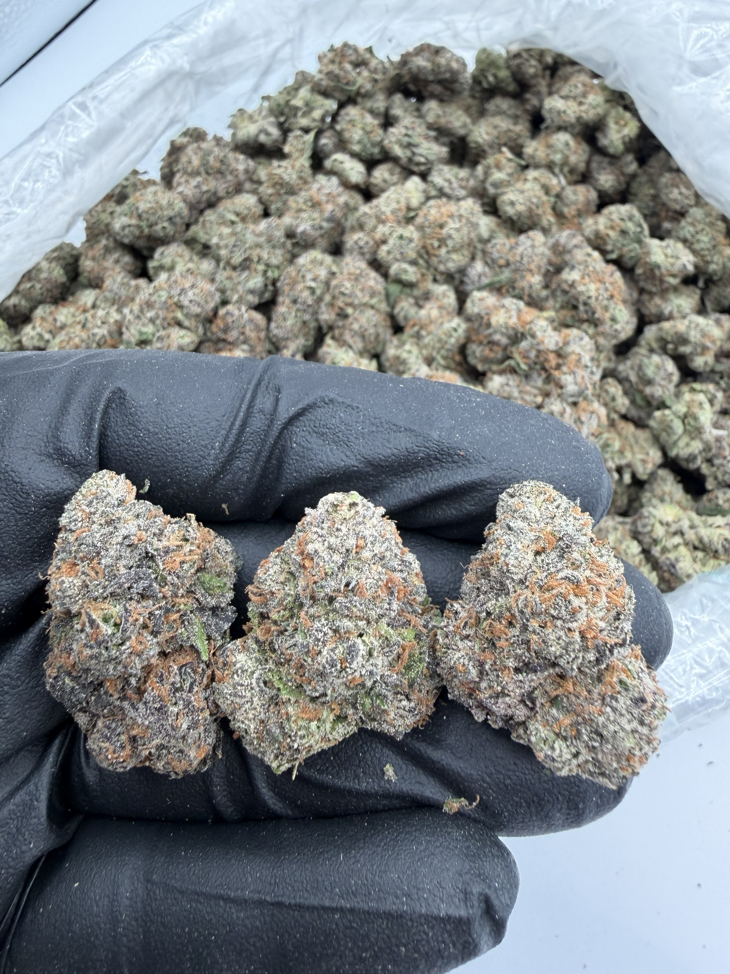 Lemon Cherry Gelato