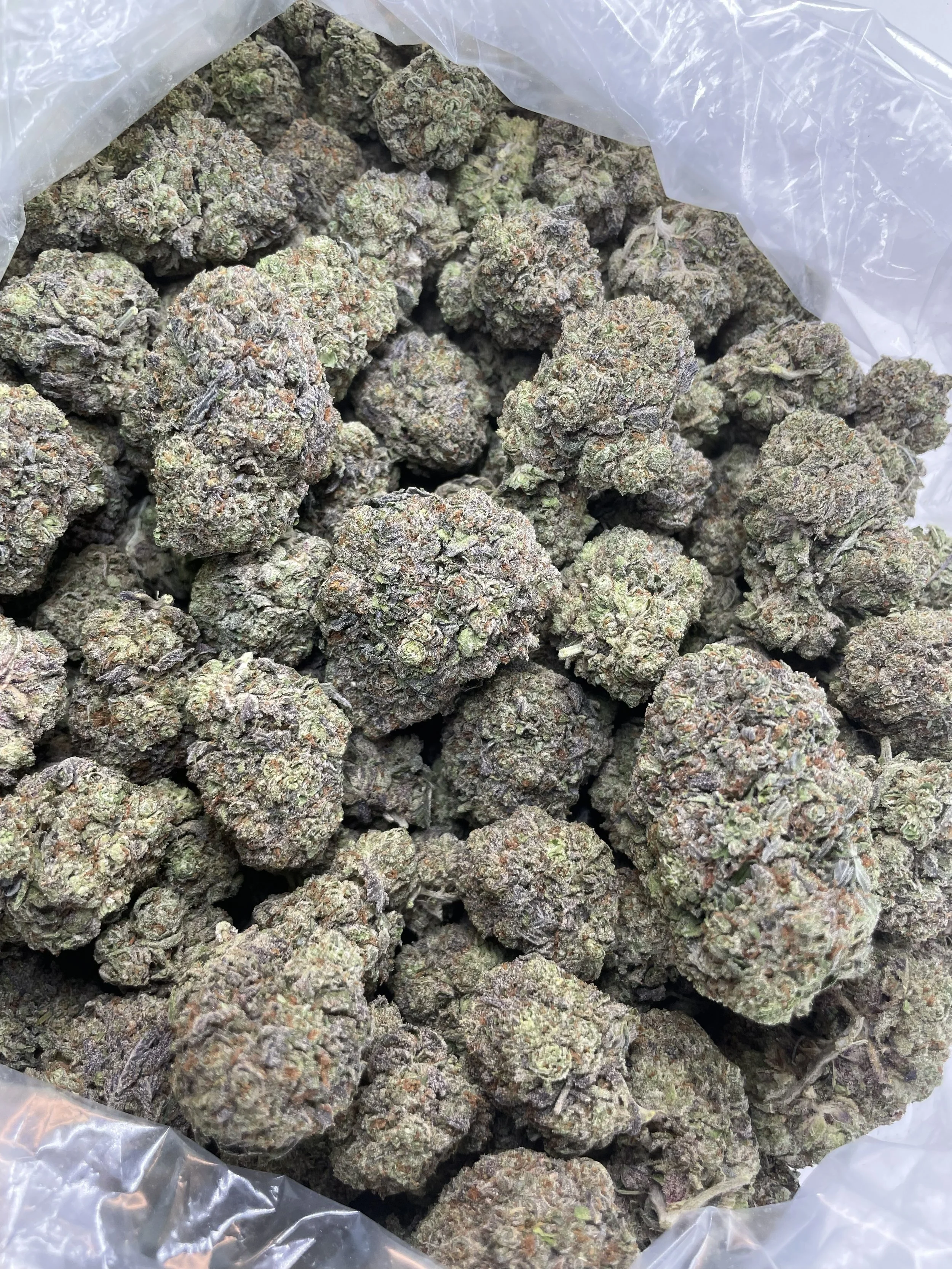 Purple monster (ds810) 700-1.jpg