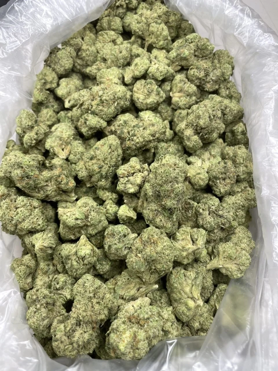 Oreoz x mule 550-1.JPG