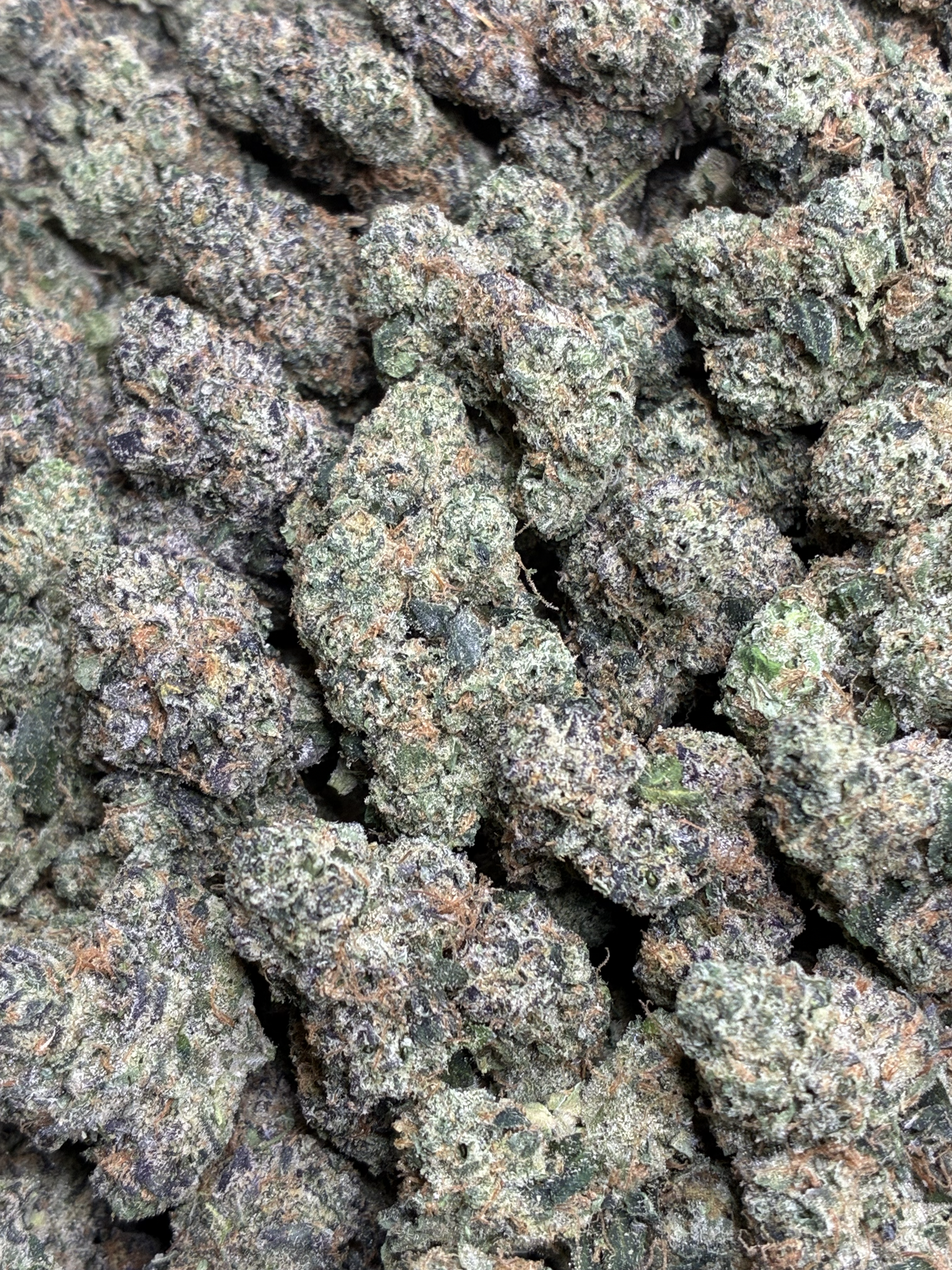 Zooted Cherry