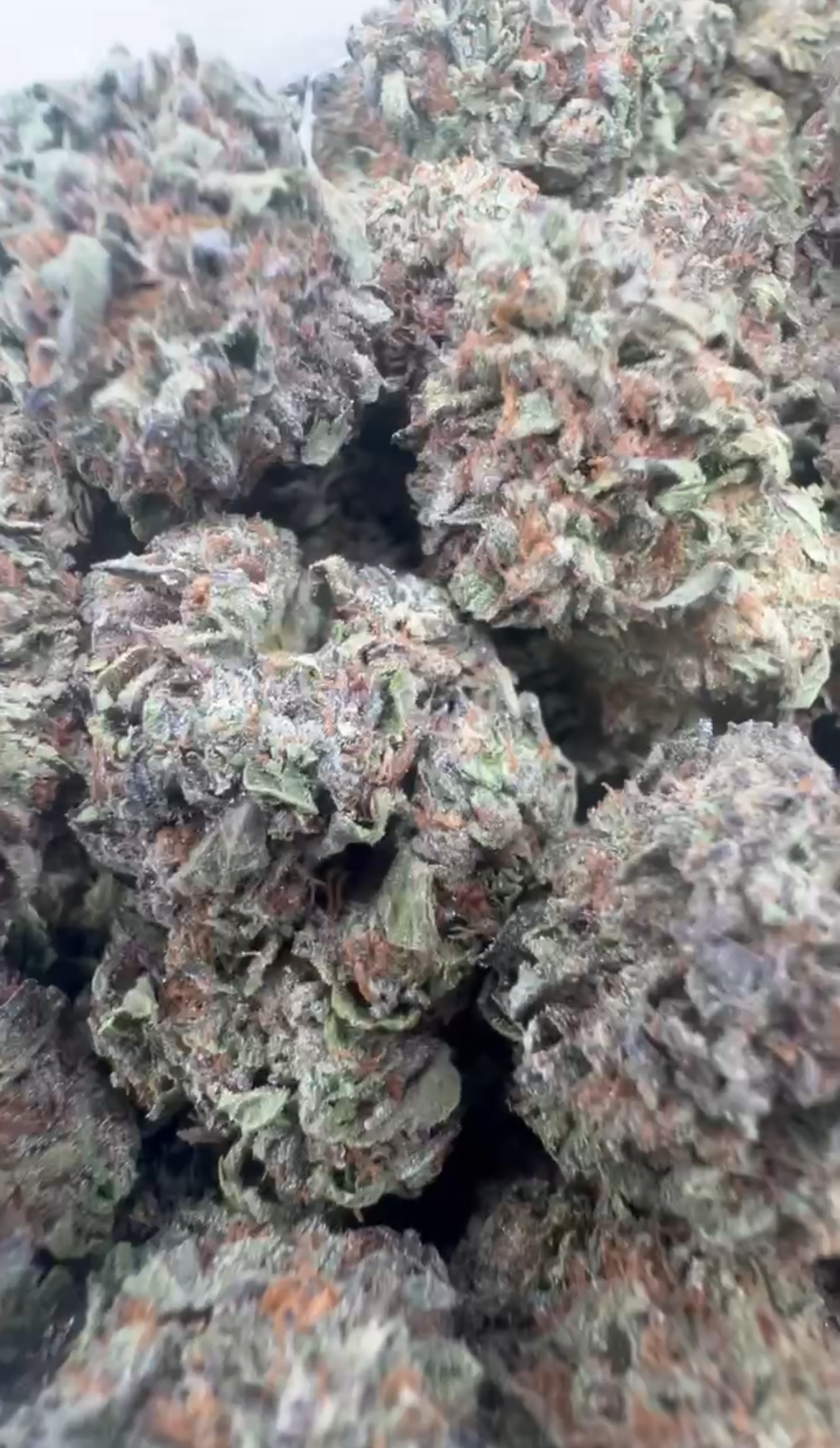 Astro cake 575-1.PNG