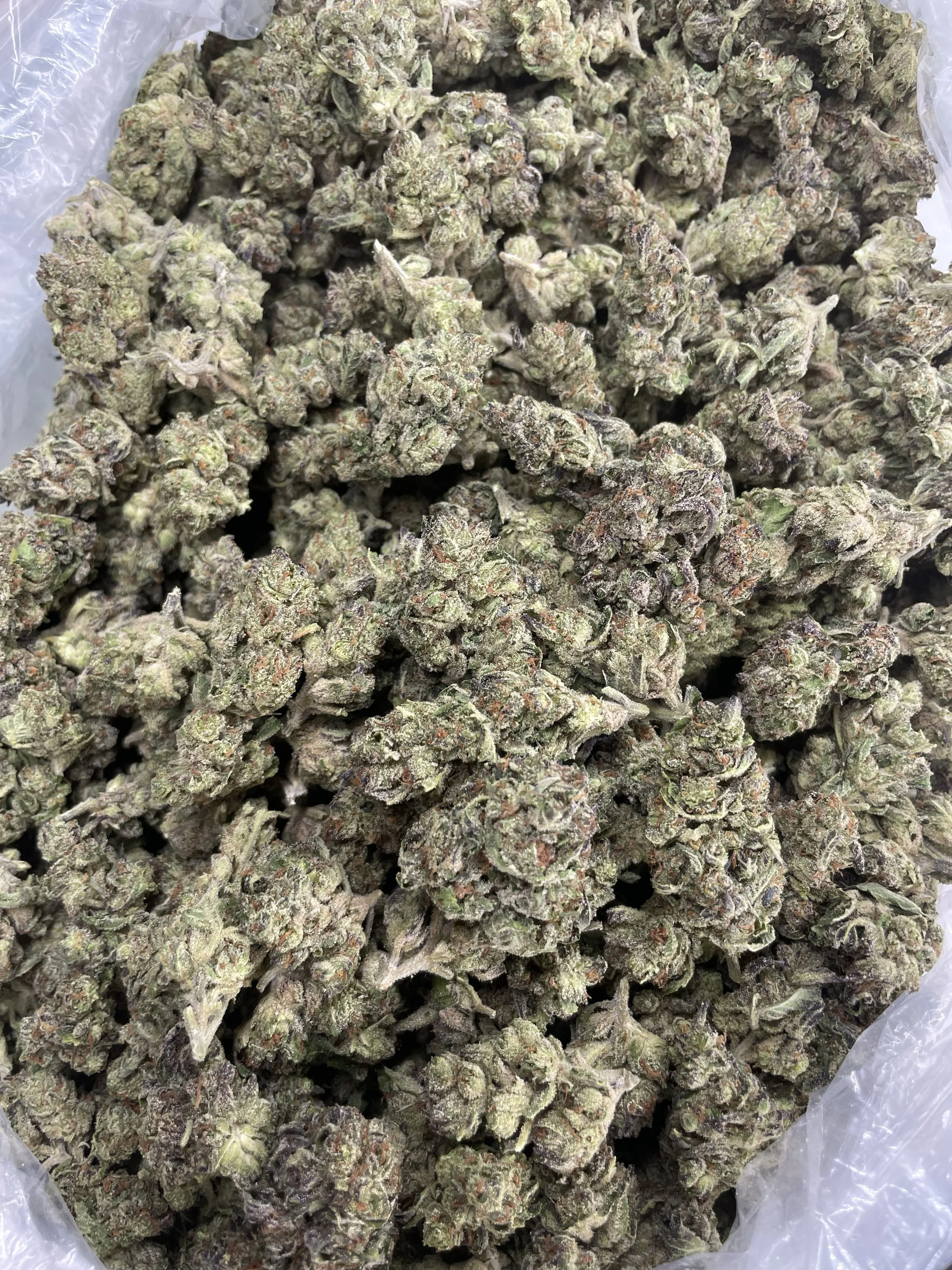 Garlic Cookies