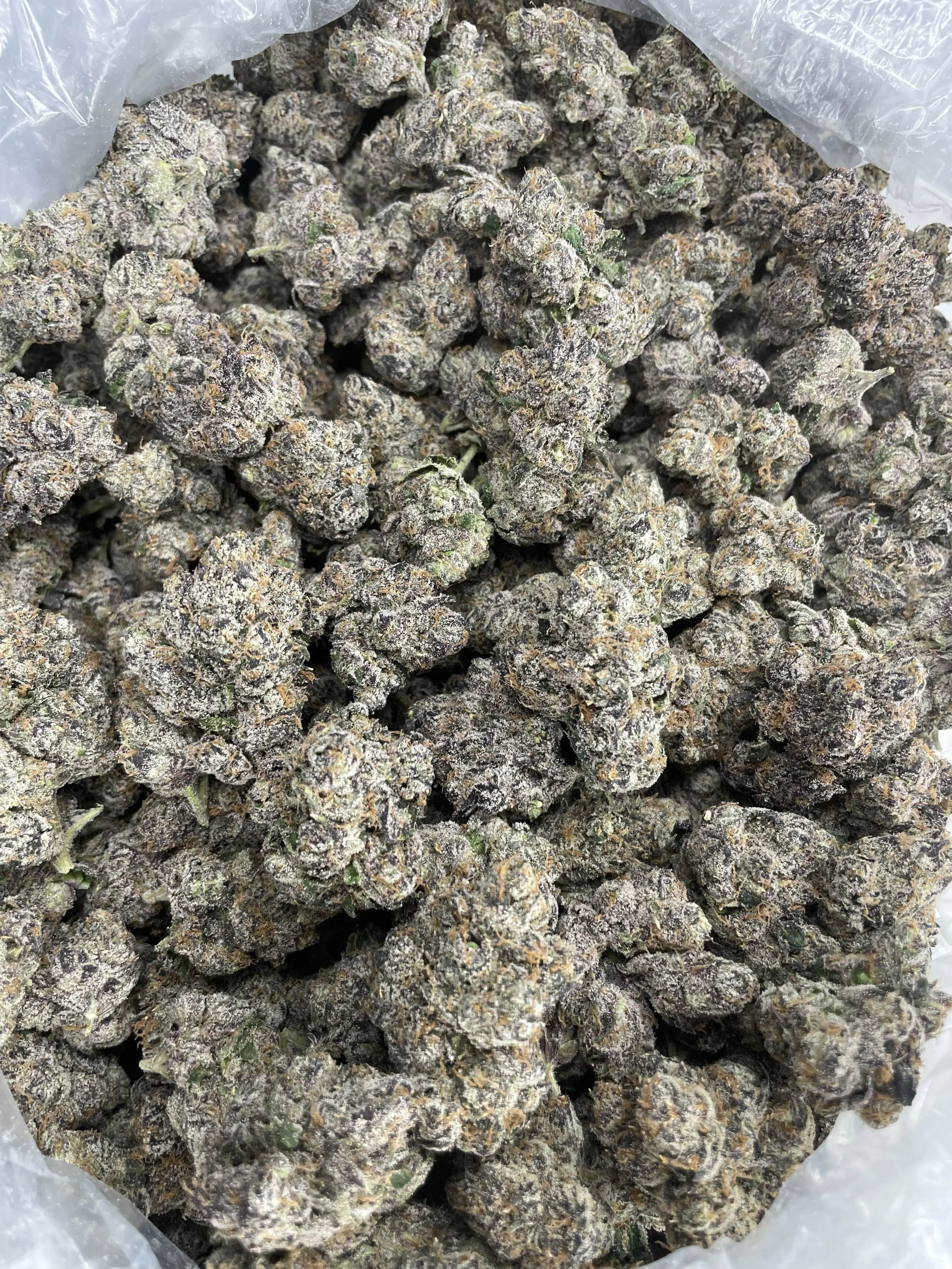 Dirty sprite 1500-1.jpg
