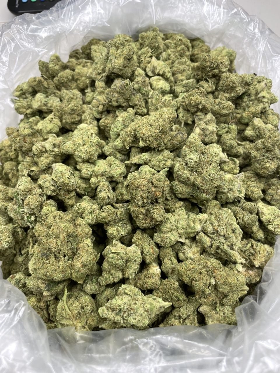 Obama runtz 550-1.JPG