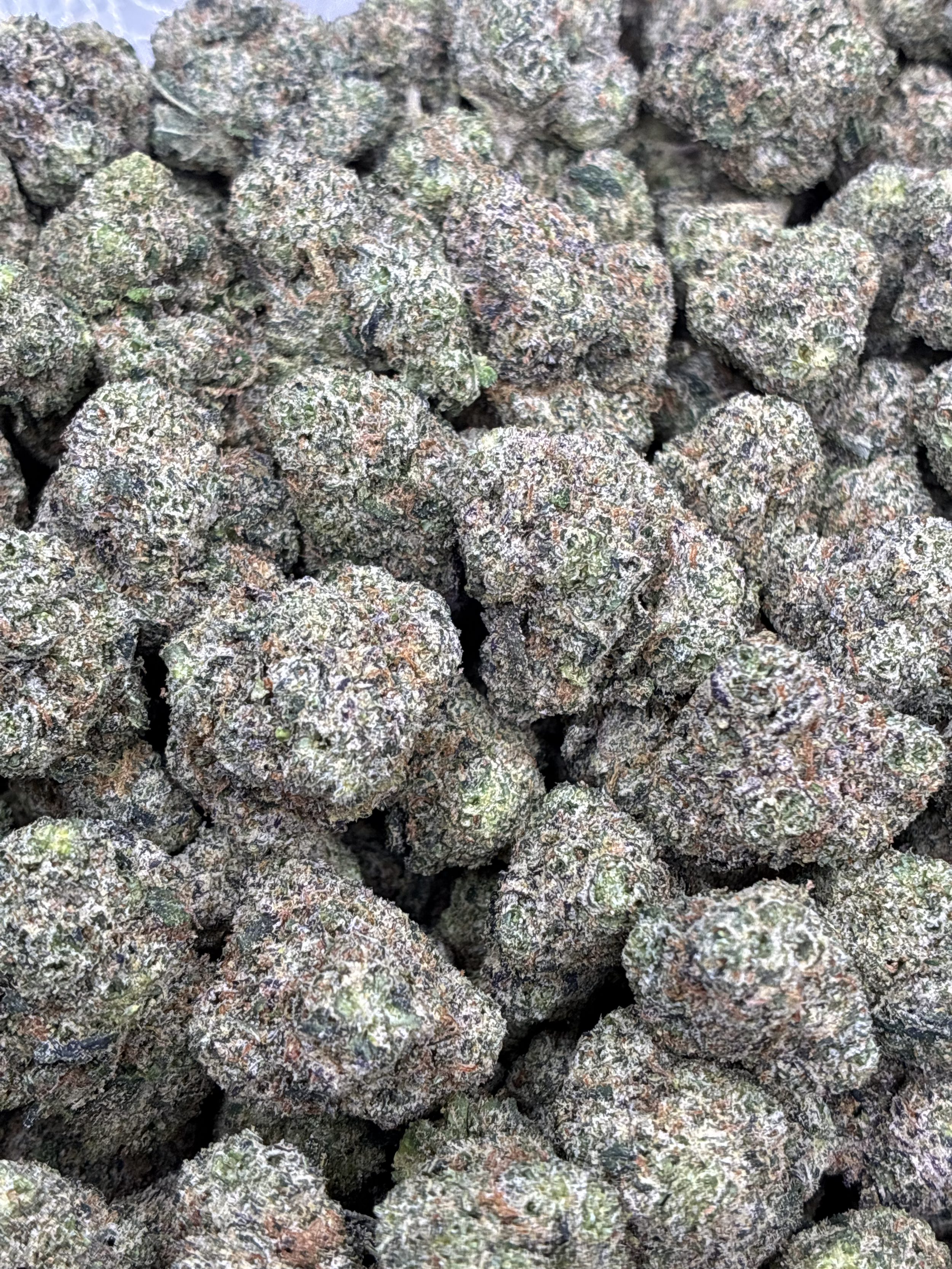 Pink Zmarties