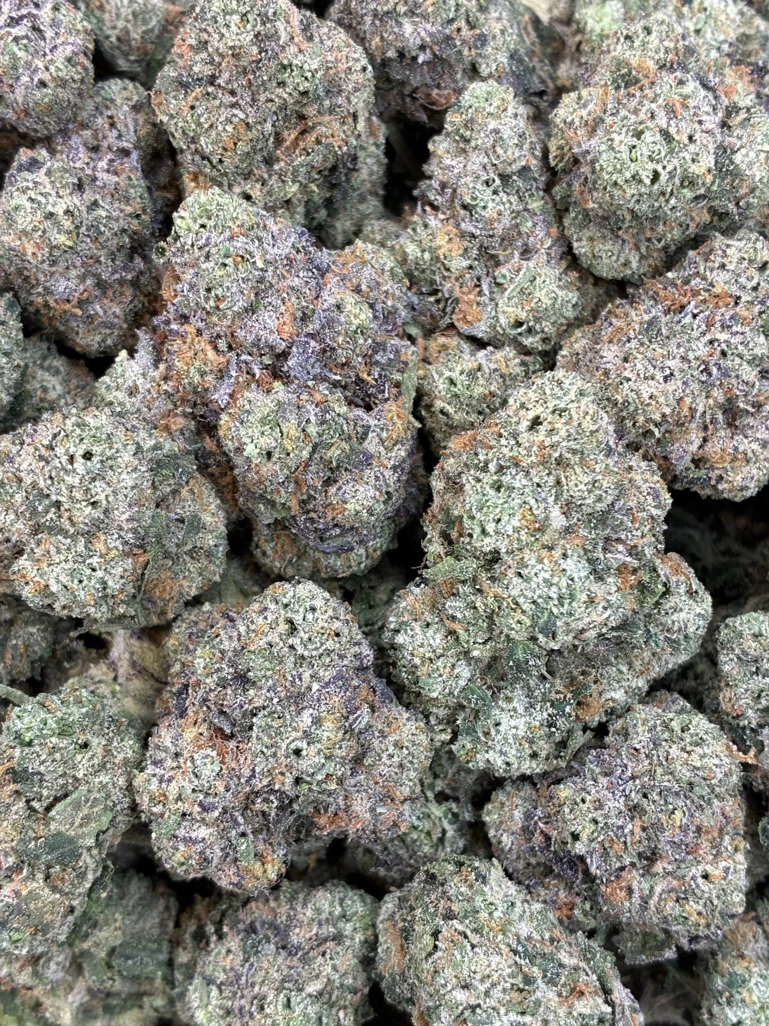 Zour grapes 1075-1.jpg