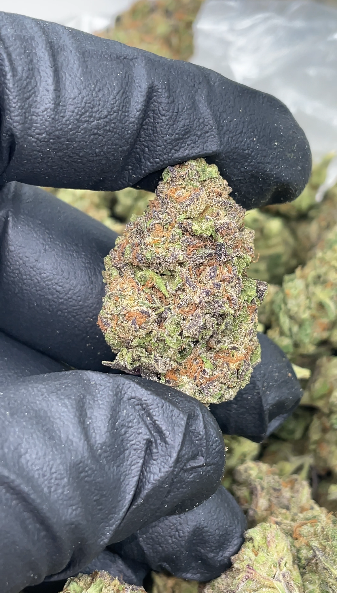 Lemon Cherry