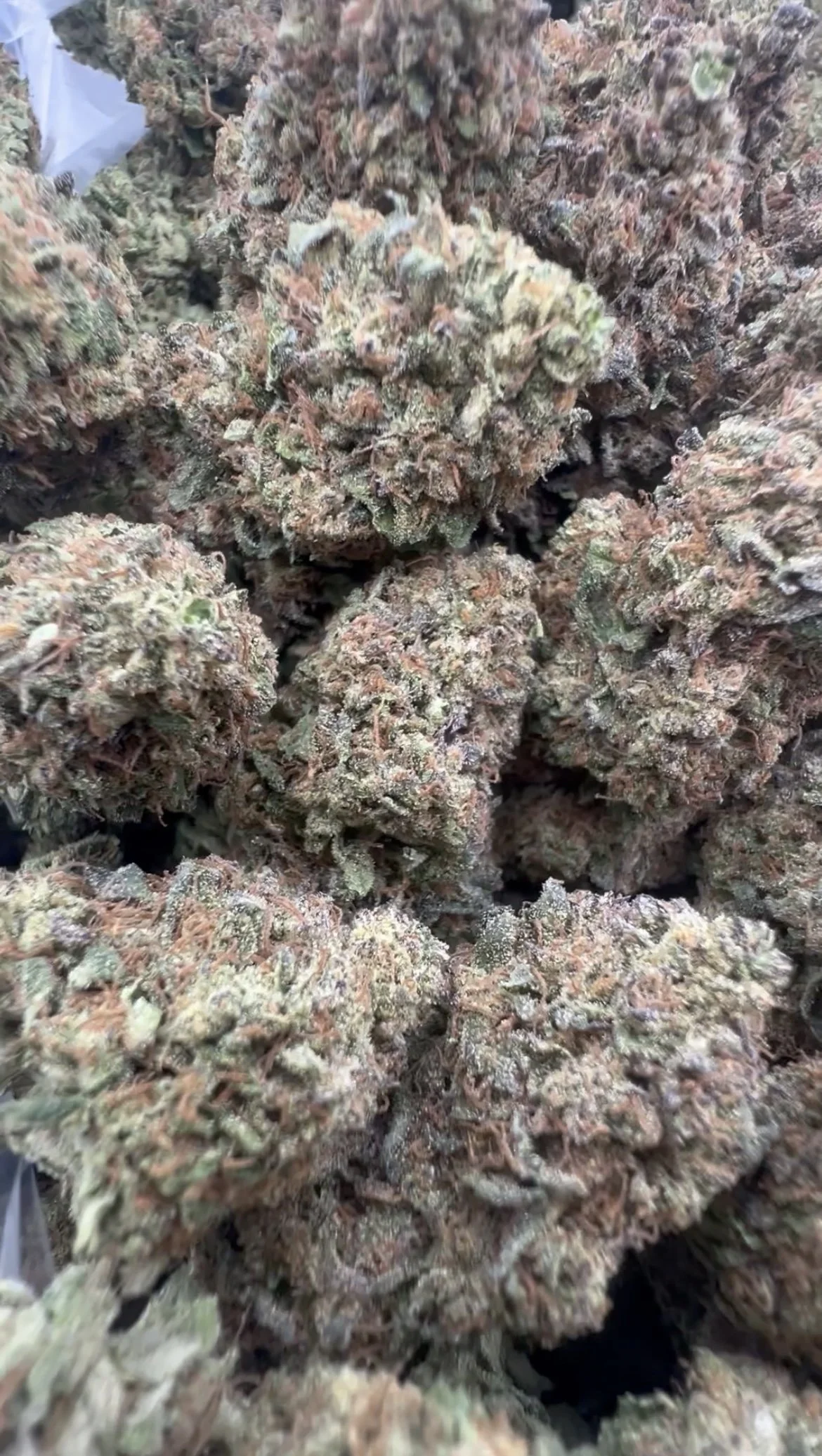 Tres Leches 650-1.jpg