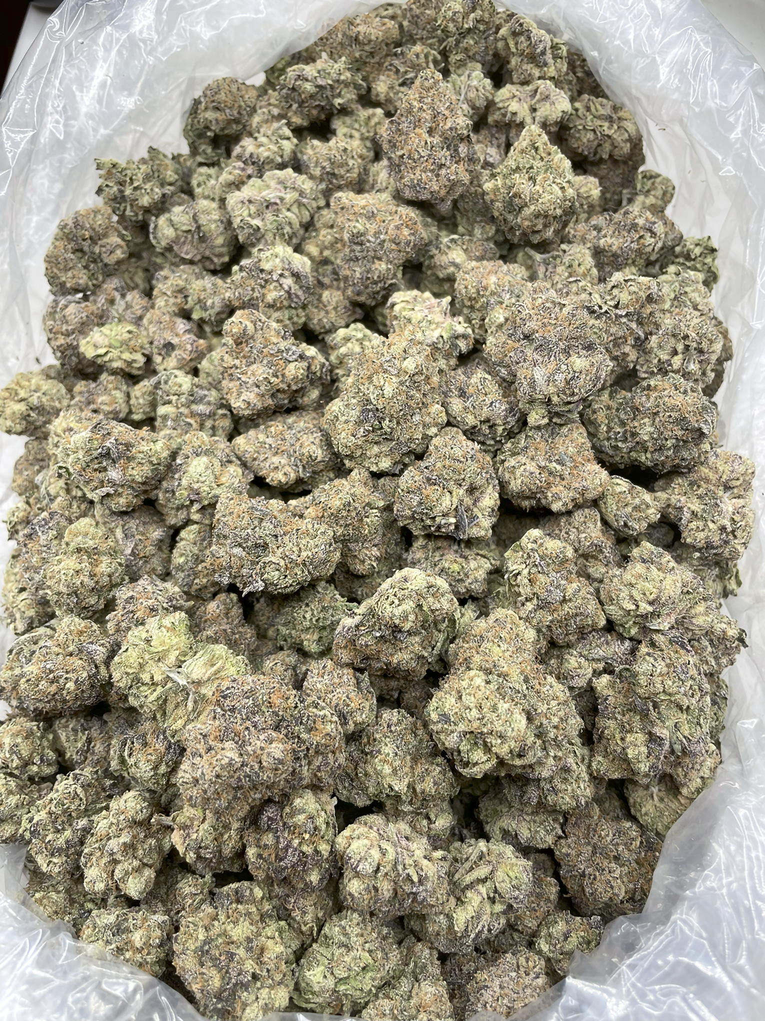 Purple Nerds