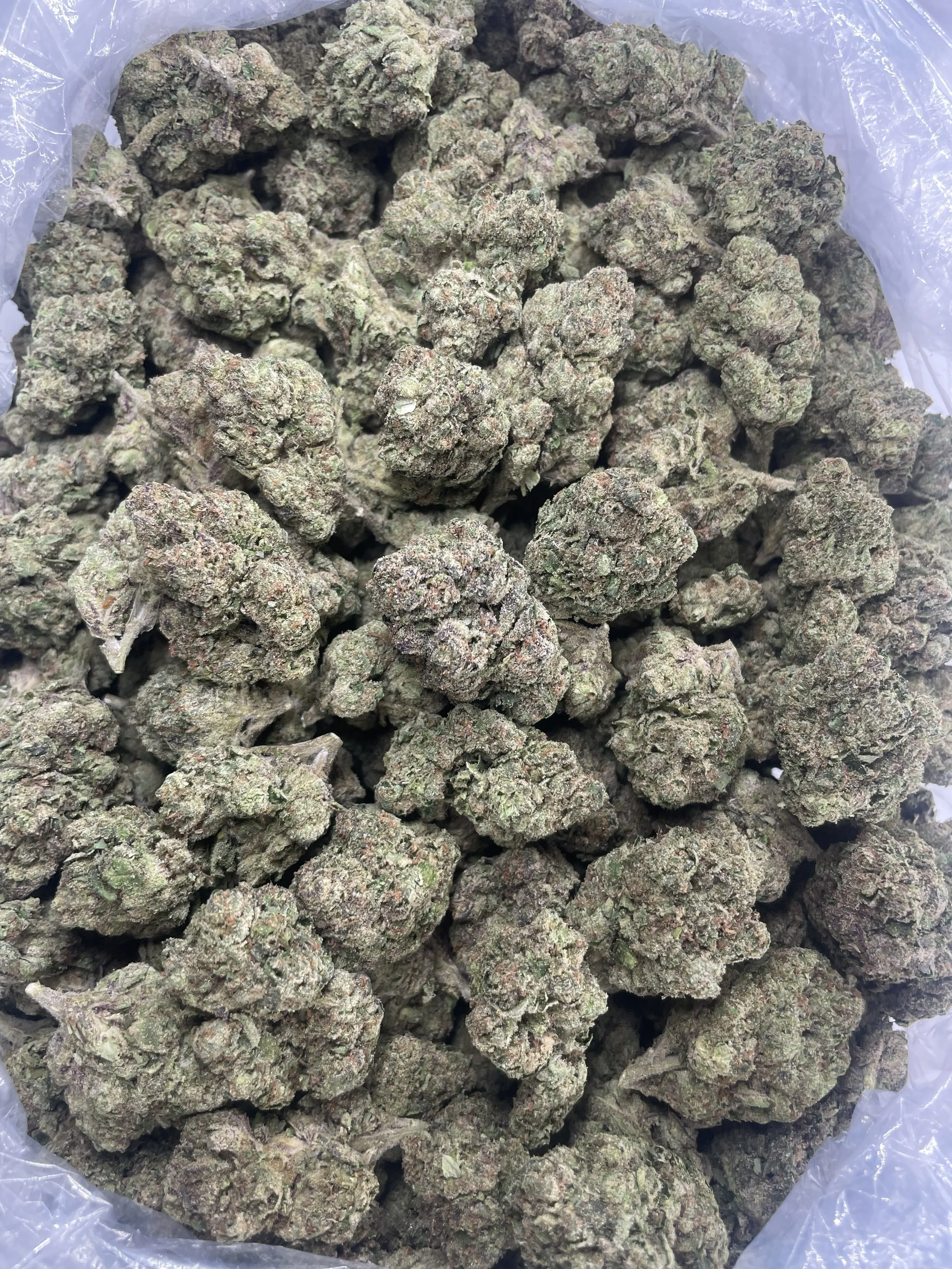G33