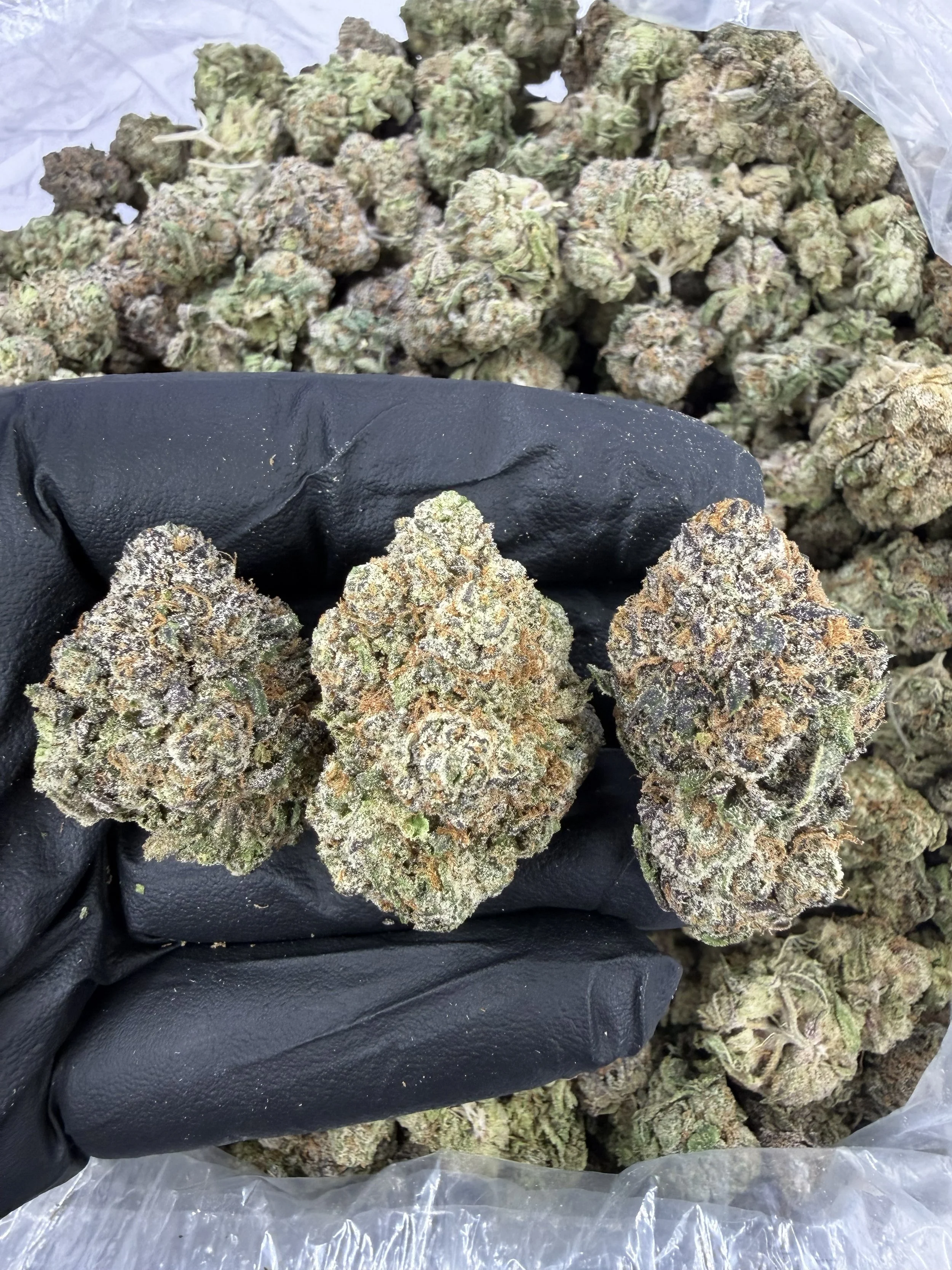 Gas berries 900-1.jpg