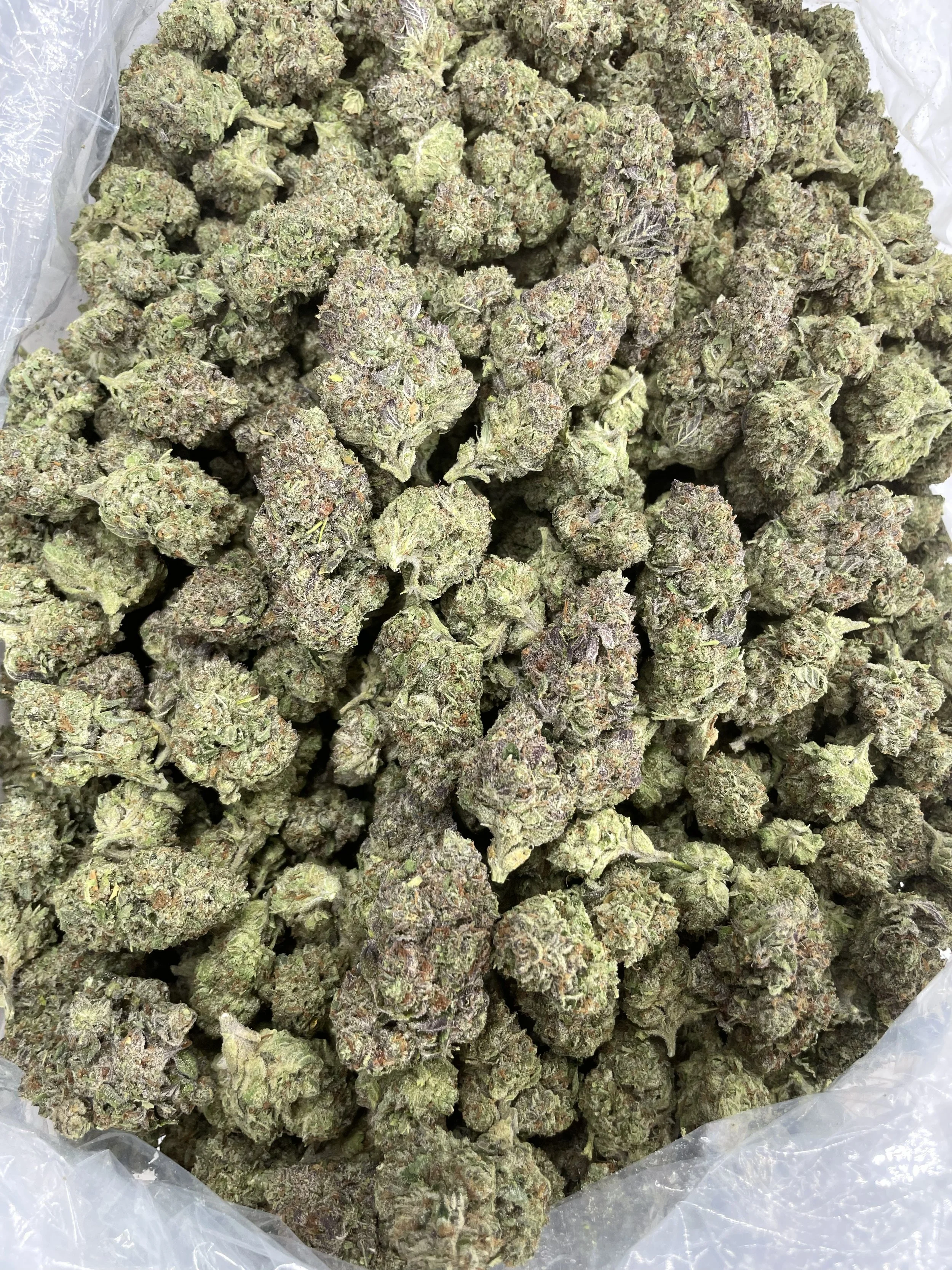 Gushmint