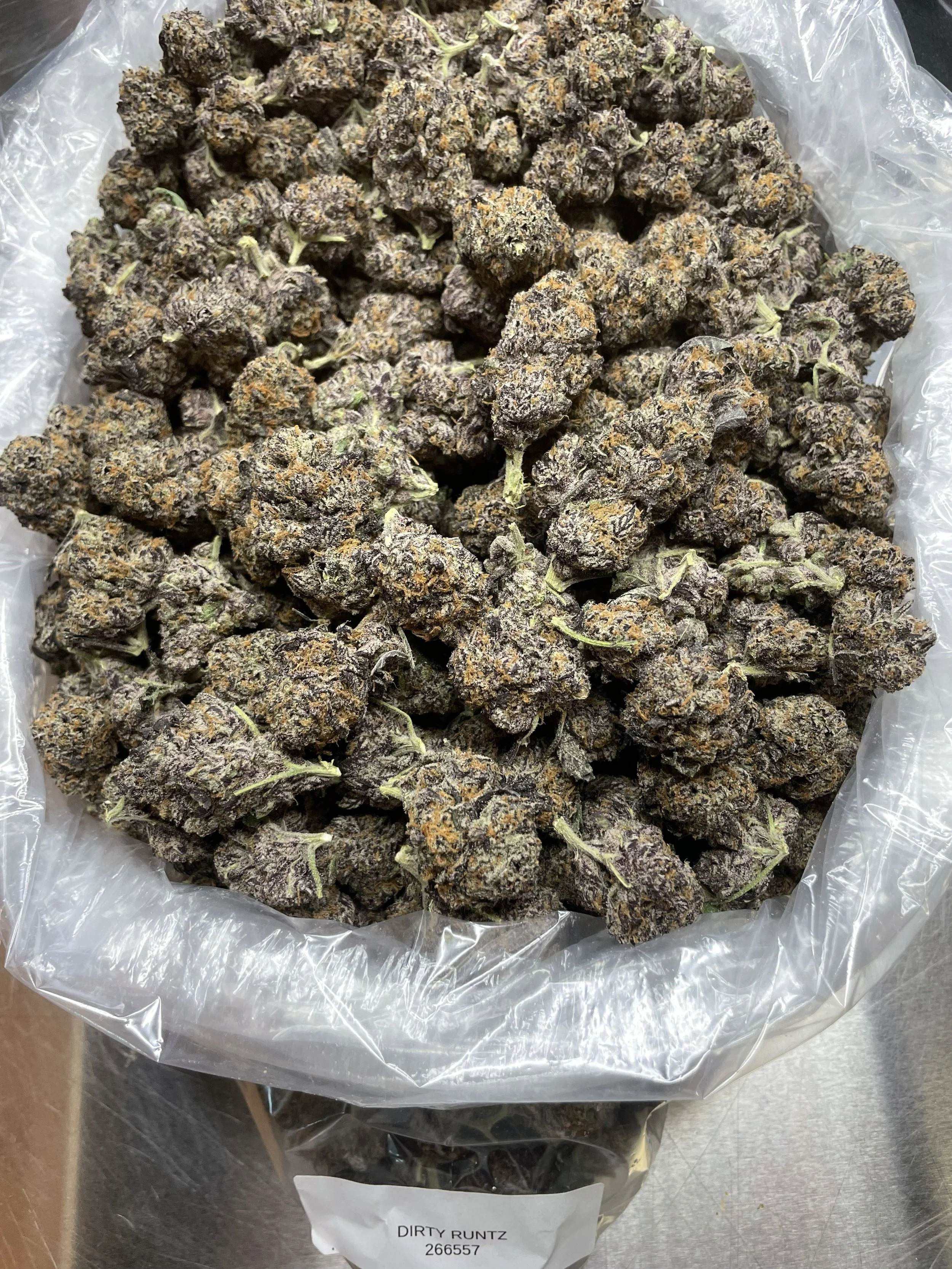 Dirty runts 1200-1.jpg