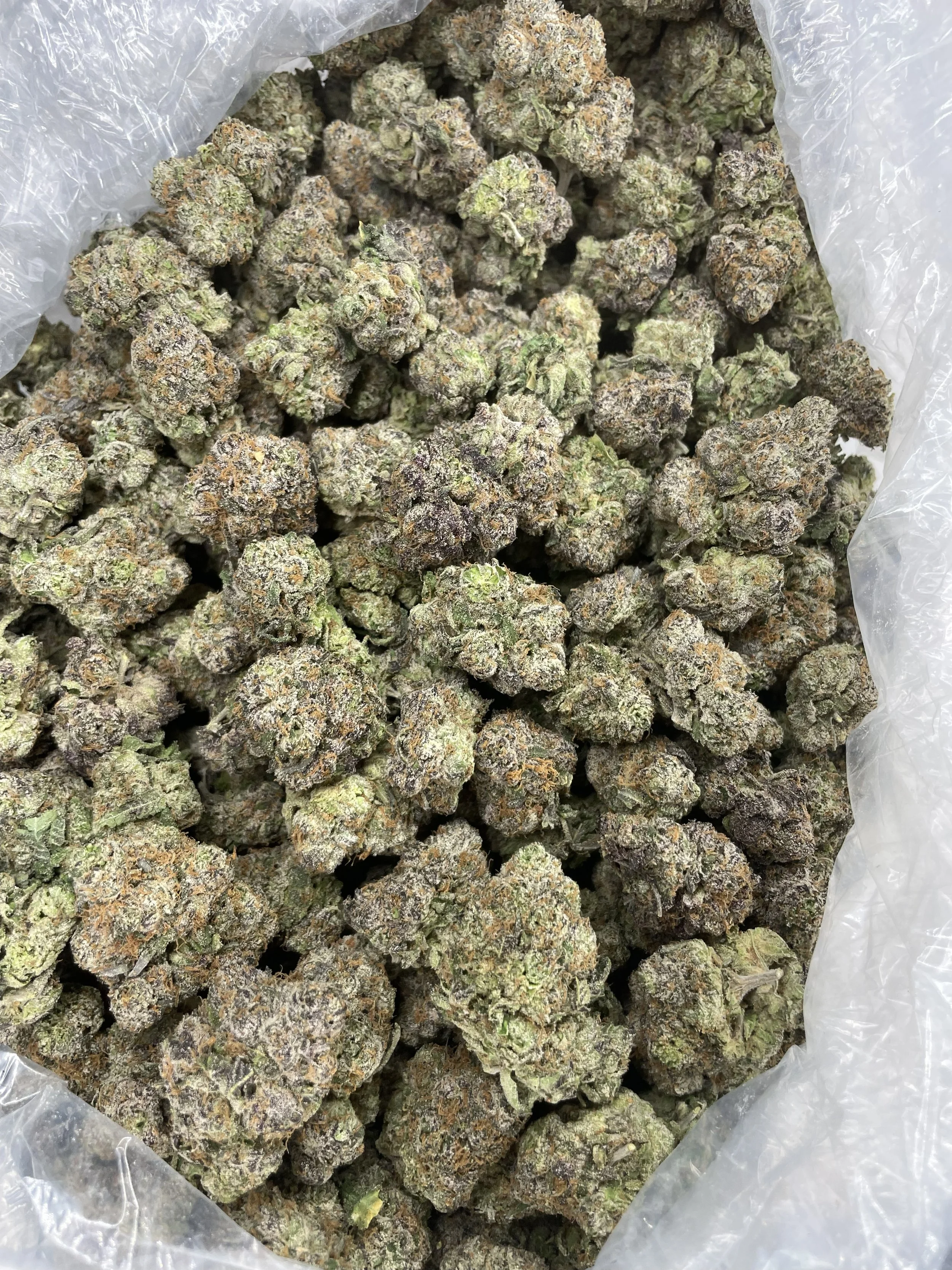 Runts 1000-1.jpg