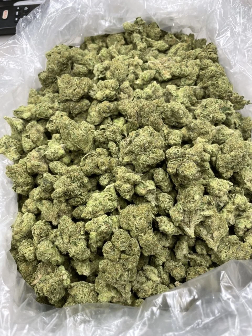 Cadillac rainbow 550-1.JPG