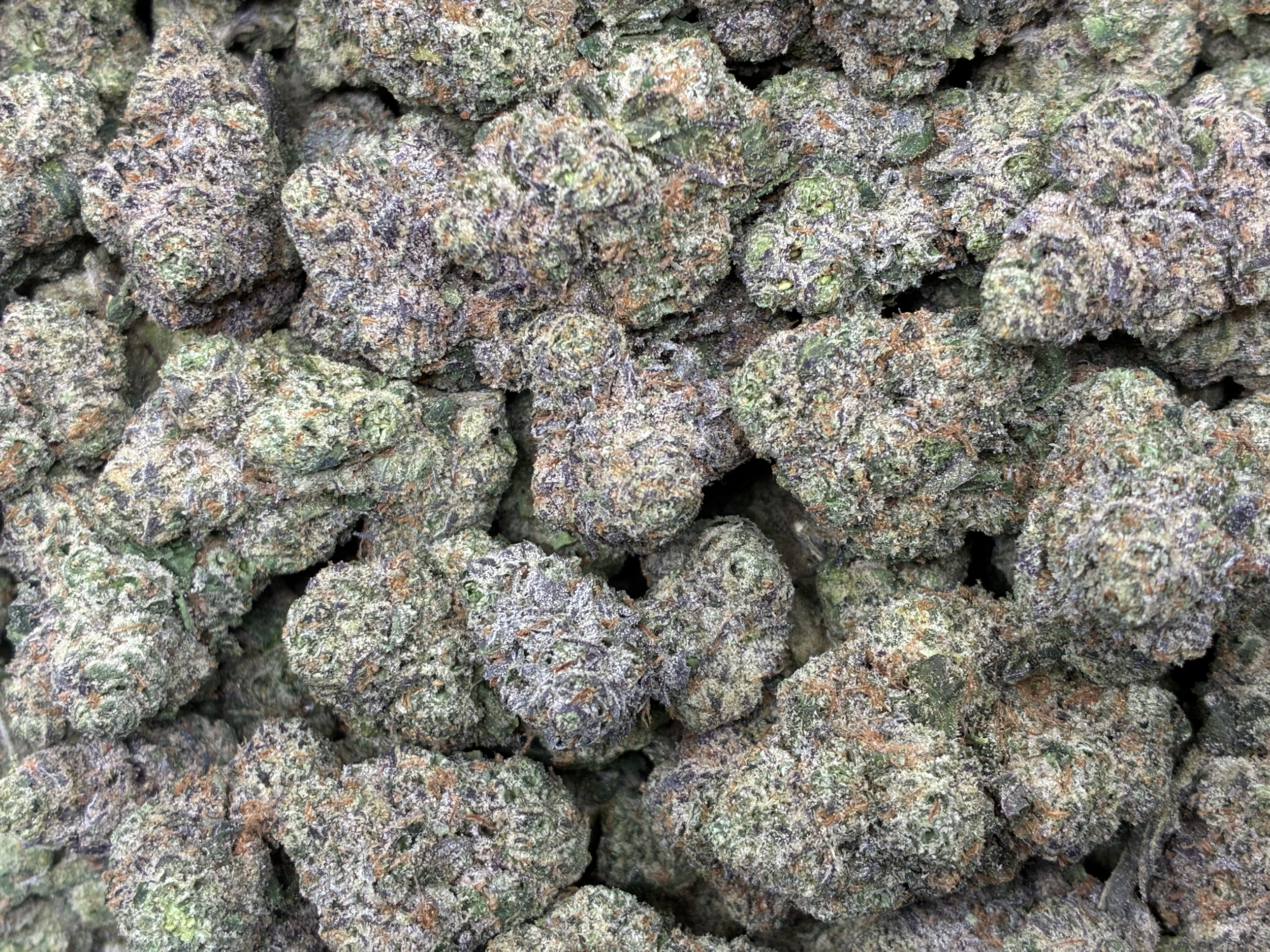 Sour Crawlers