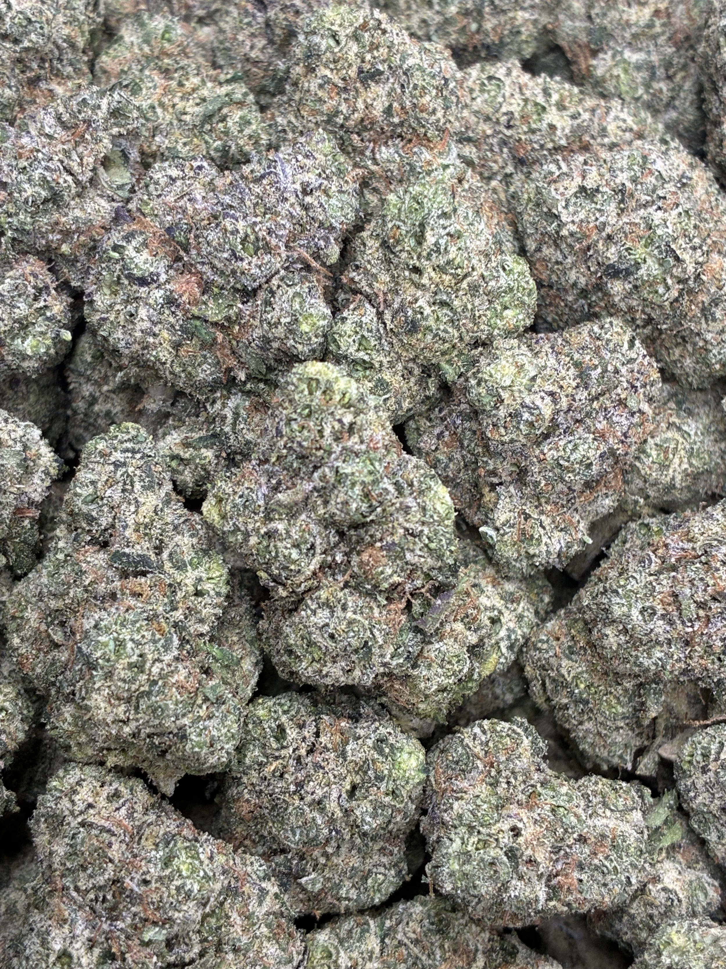 Sour Beltz