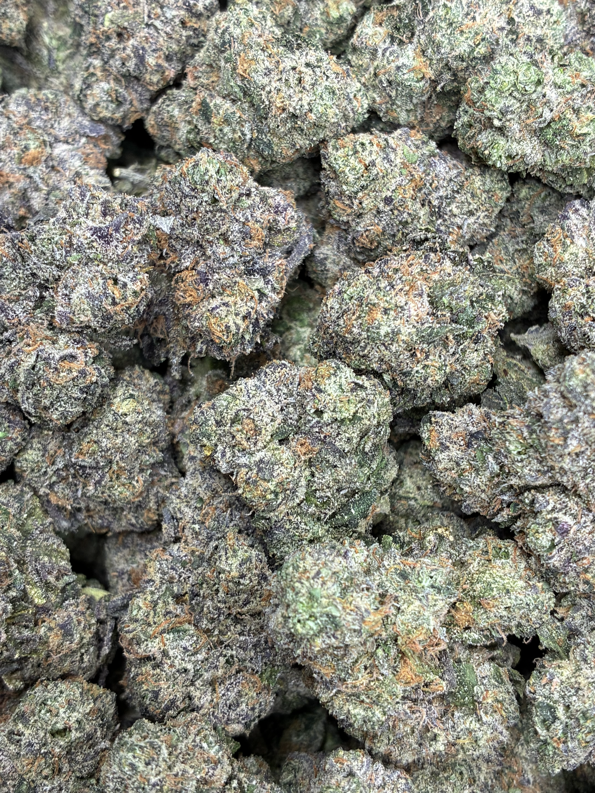 Blue Gushers