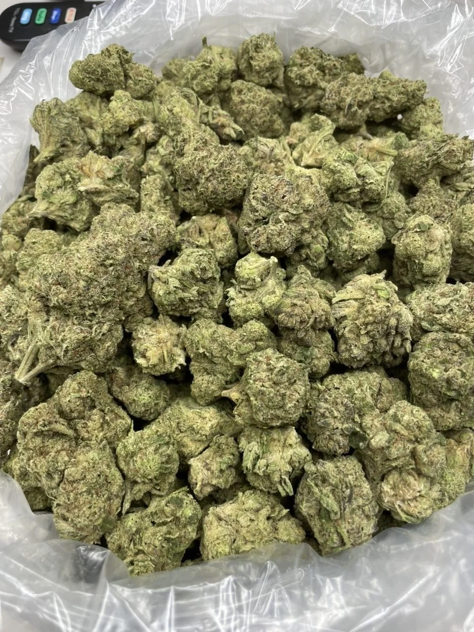 Pink certz 550-1.JPG