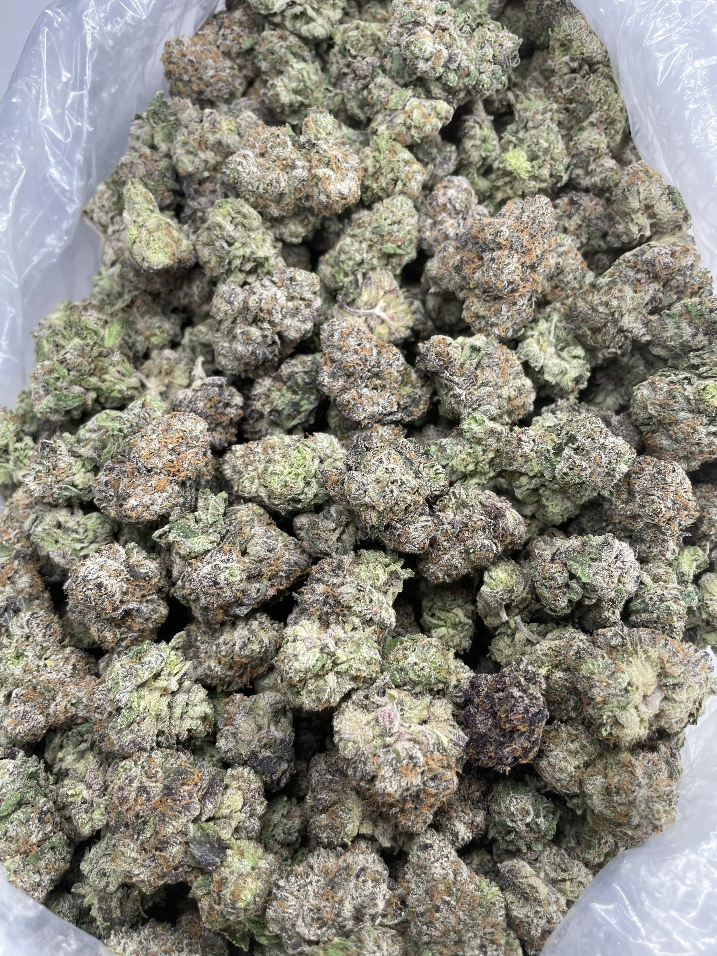 Glitter bomb 1000-1.jpg