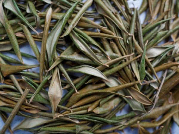 Oli Tea